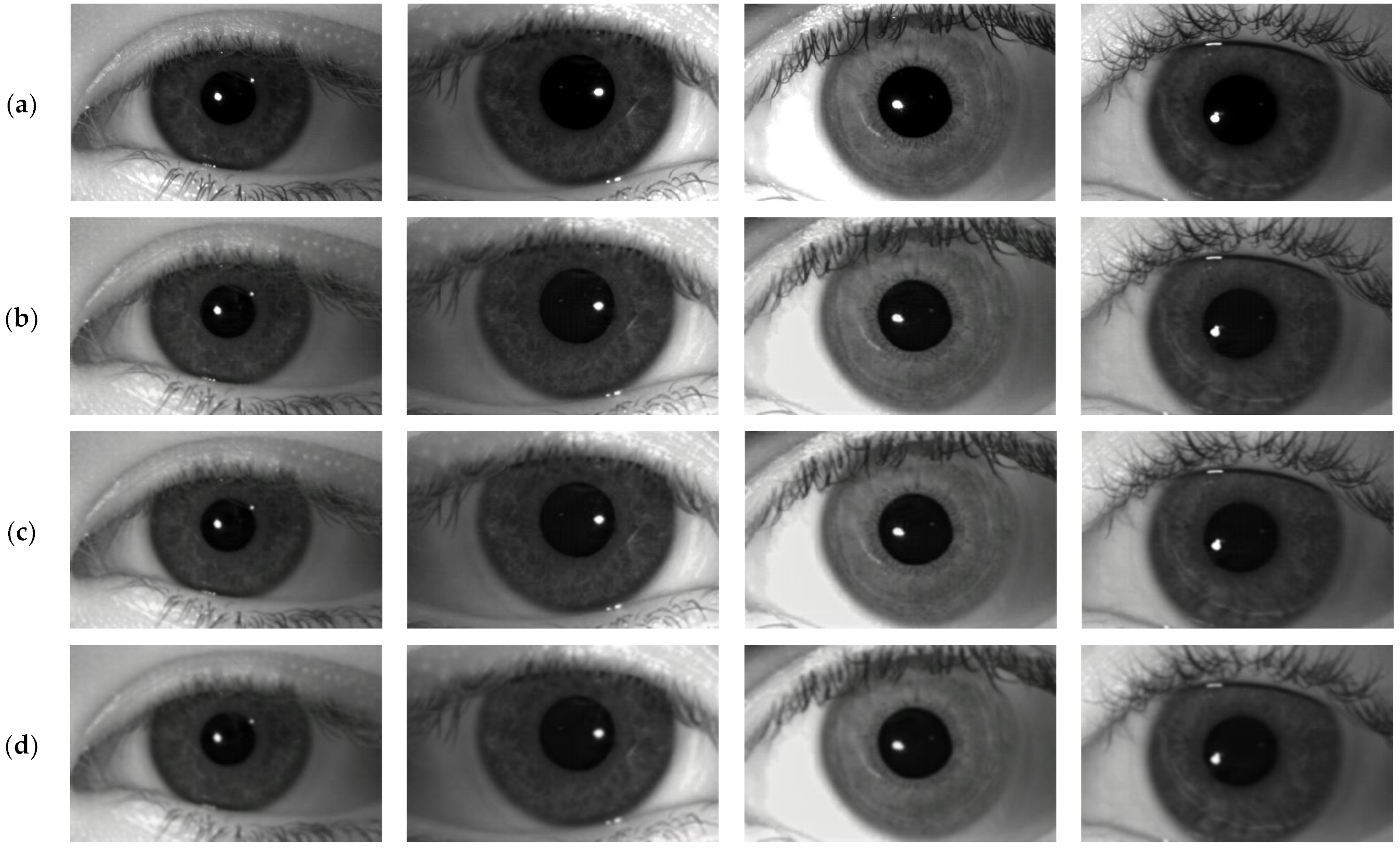 Mathematics 11 04160 g009a