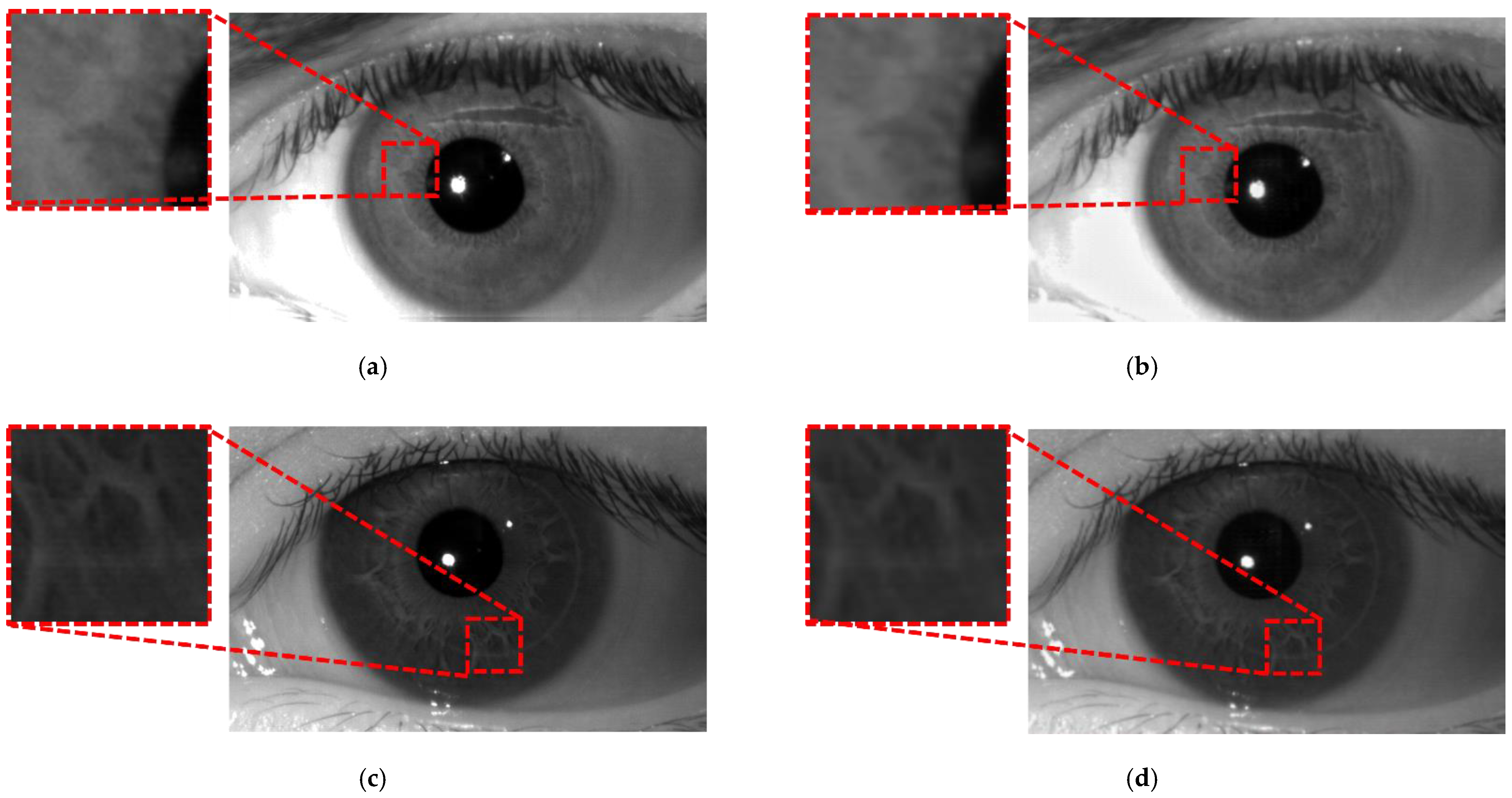 Mathematics 11 04160 g016