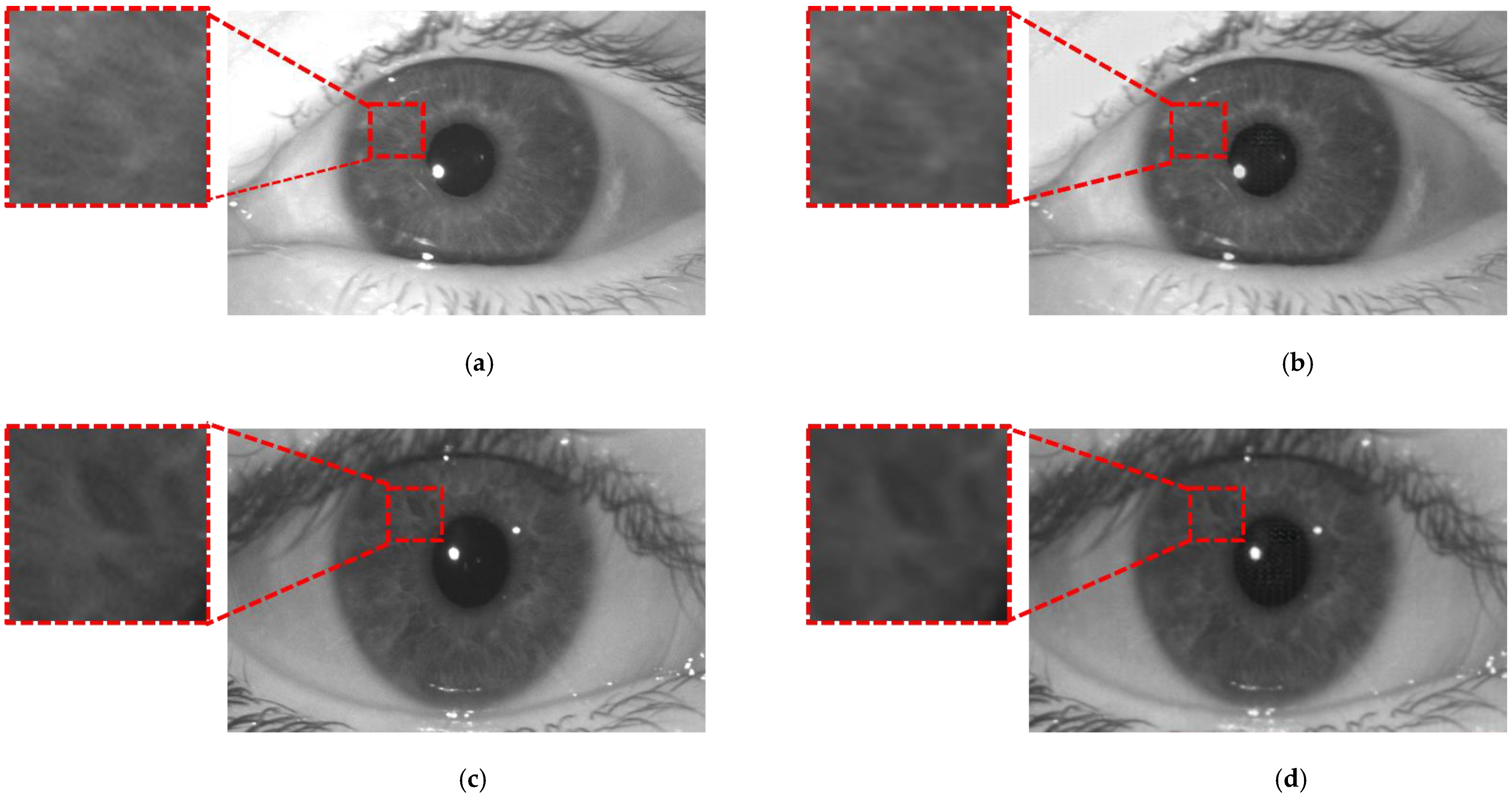 Mathematics 11 04160 g017