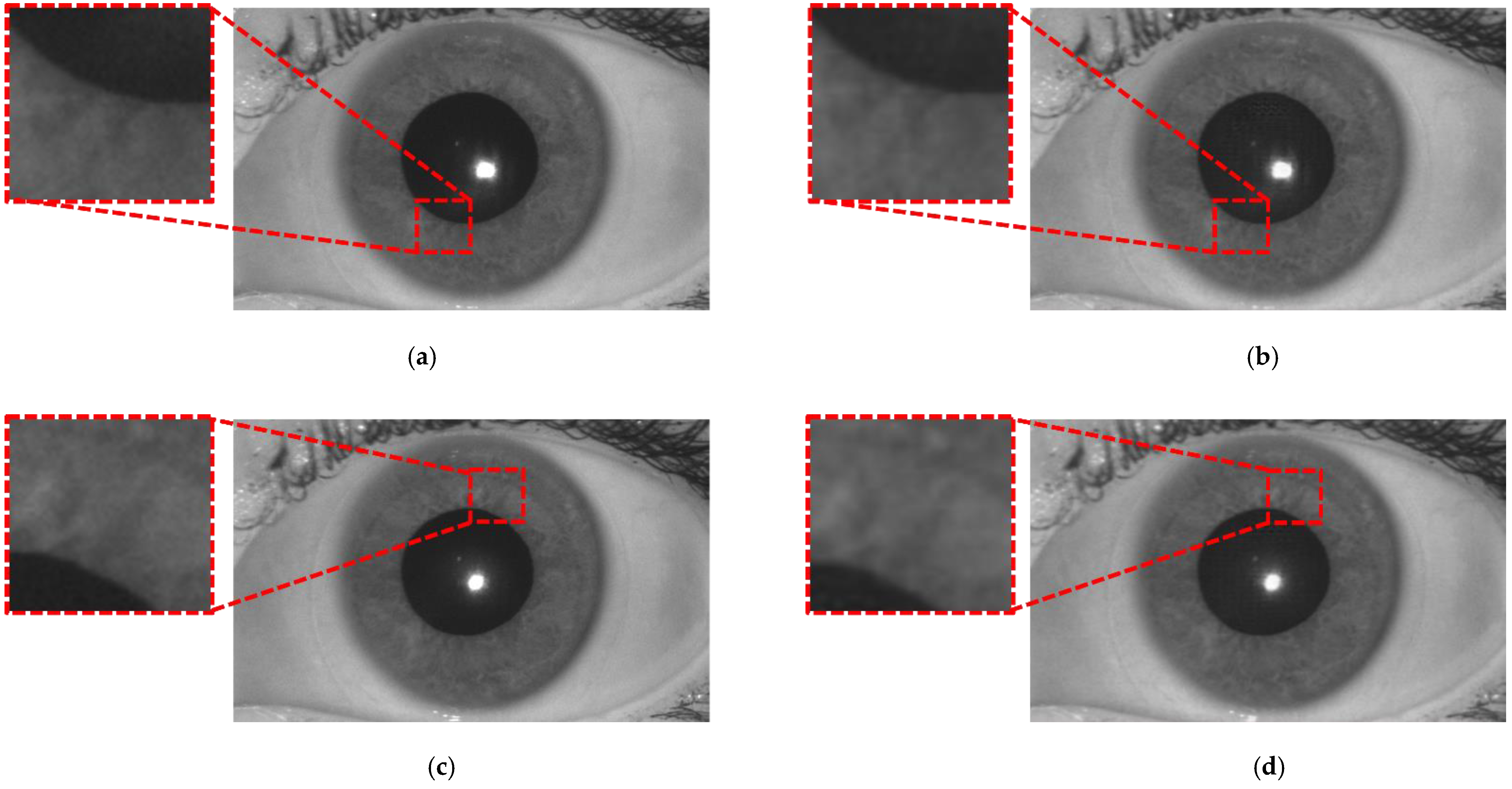 Mathematics 11 04160 g018