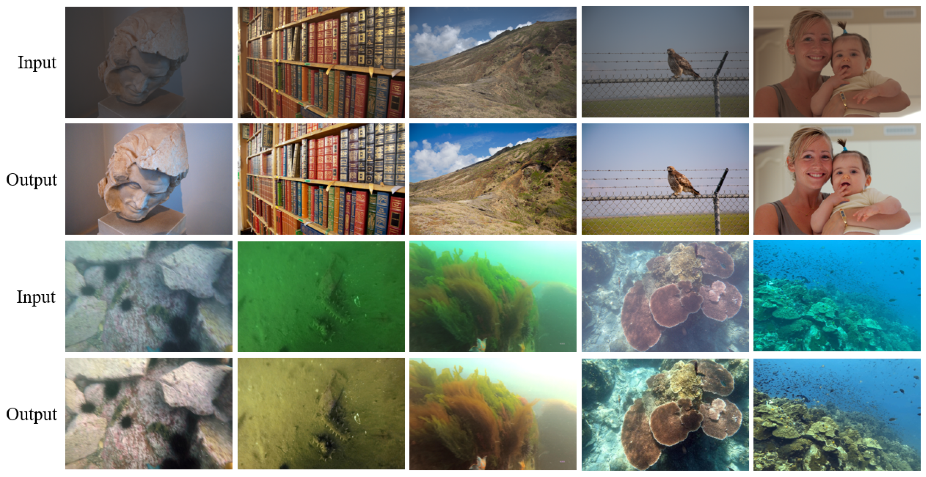 Mathematics 11 04194 g008