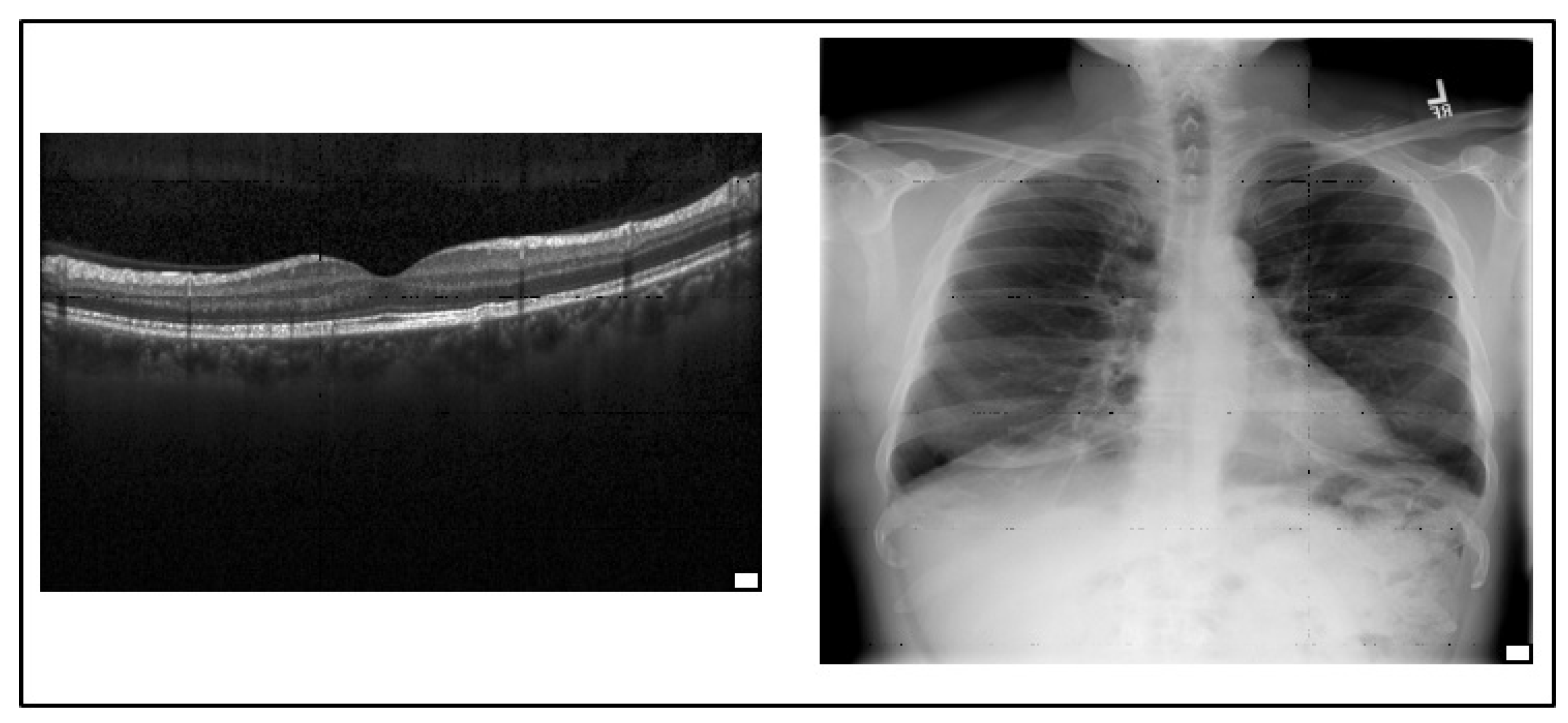Mathematics 11 04236 g003