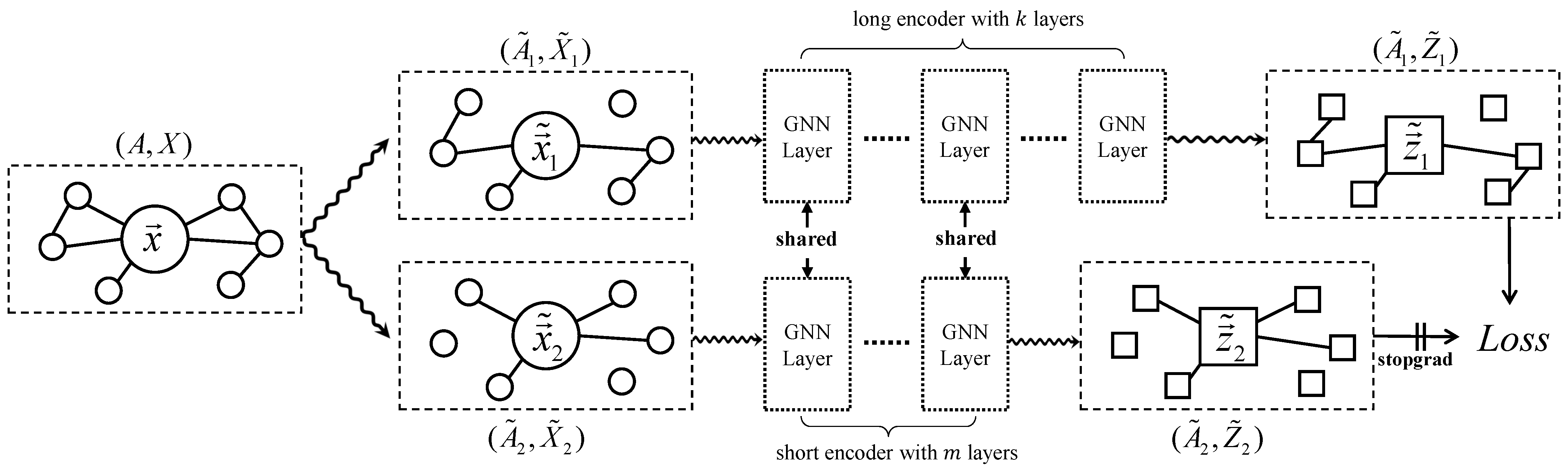 Asymmetric Graph Contrastive Learning