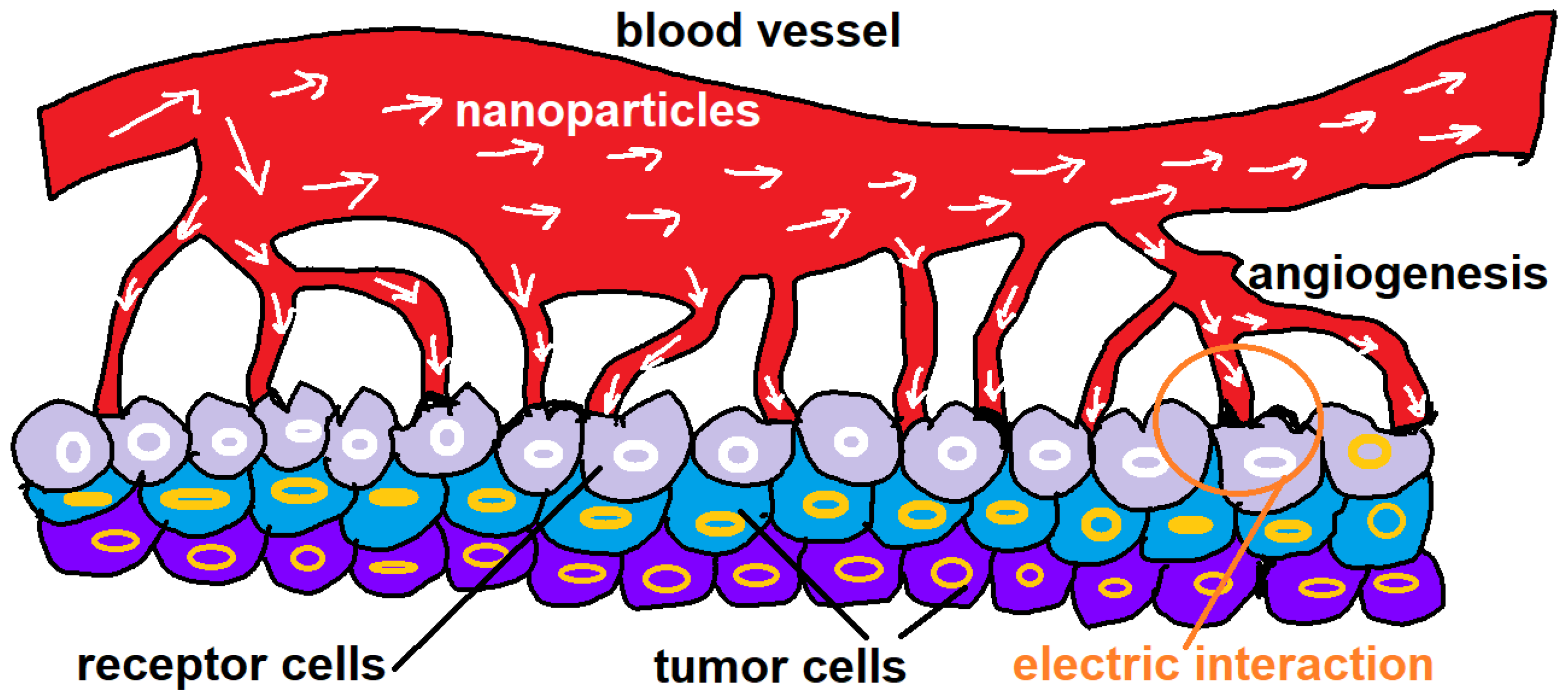 Mathematics 11 04528 g001