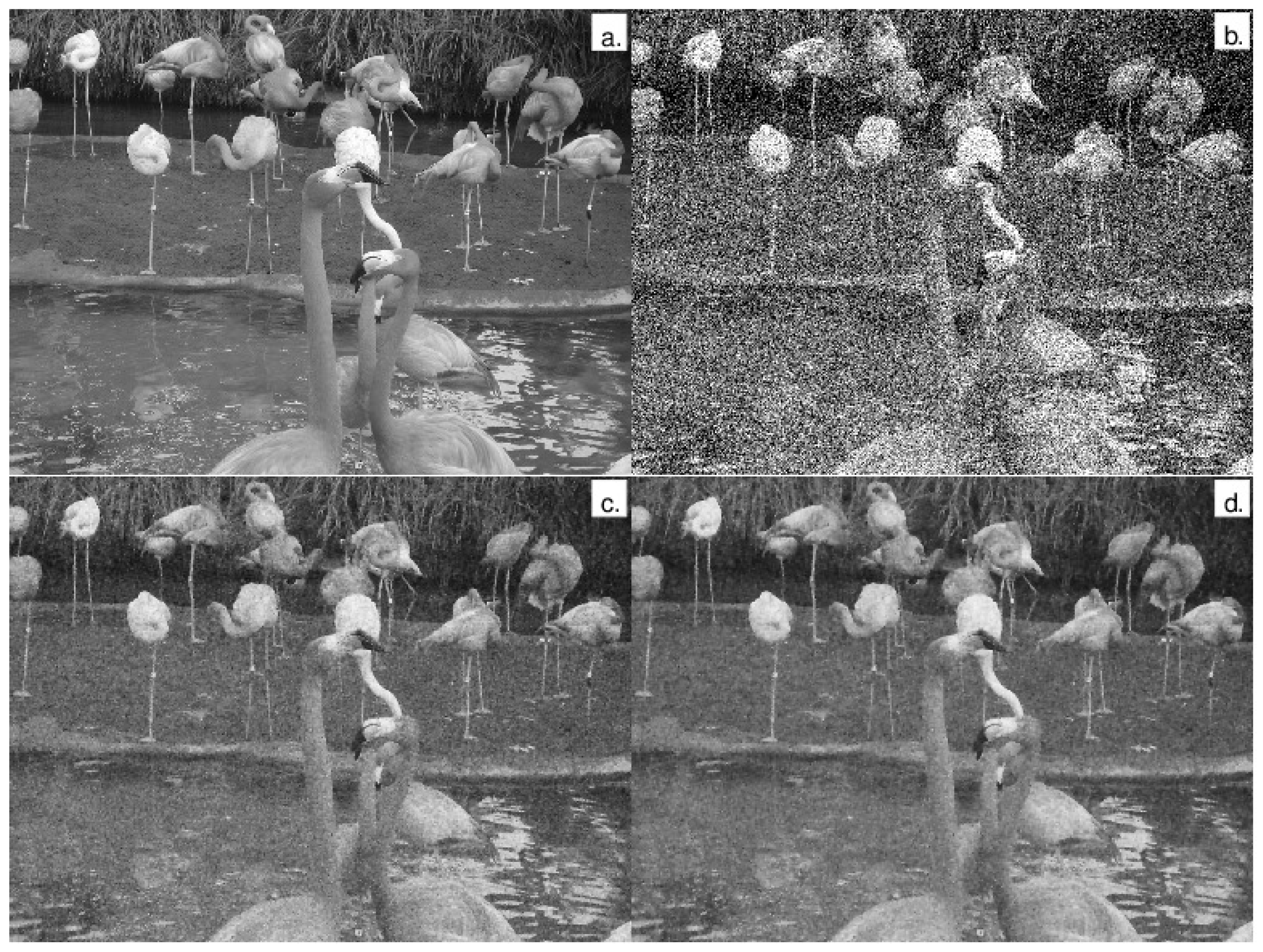 Mathematics 11 04601 g005