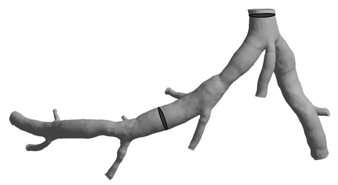 Mathematics 11 04877 g005