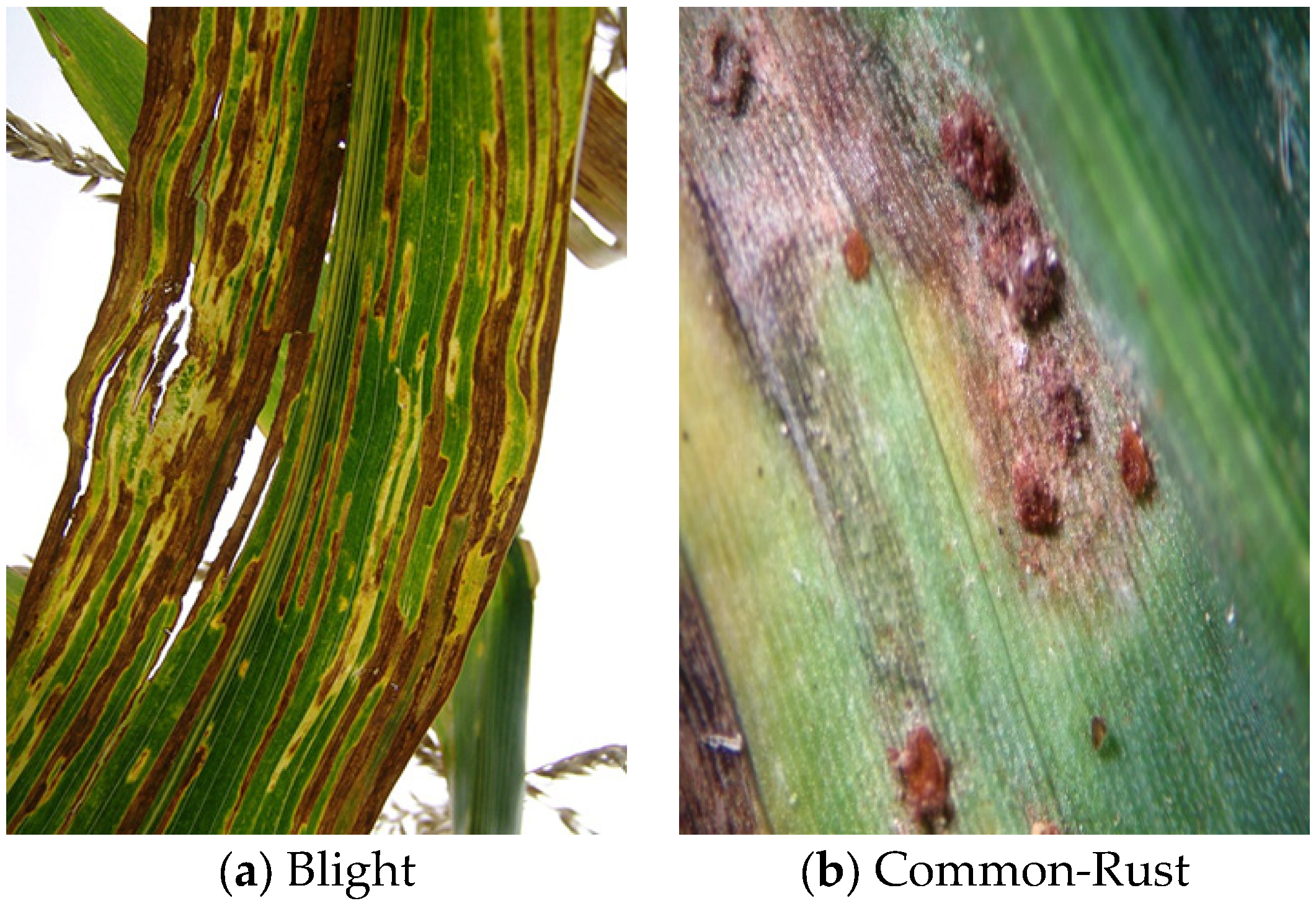 Mathematics 12 00368 g002a