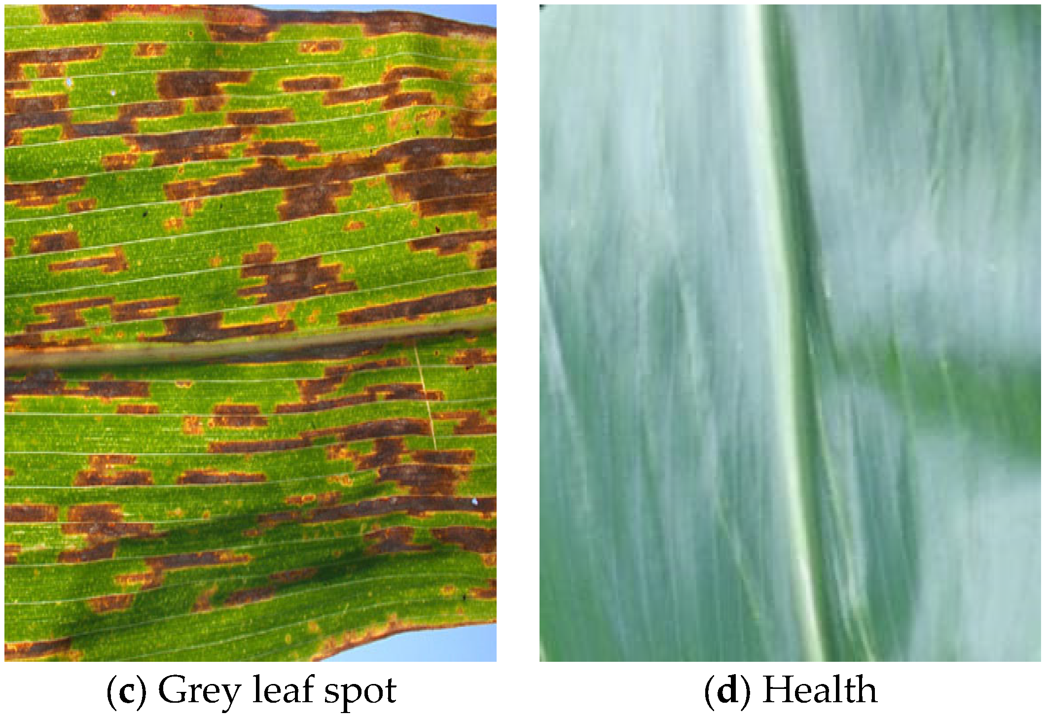 Mathematics 12 00368 g002b