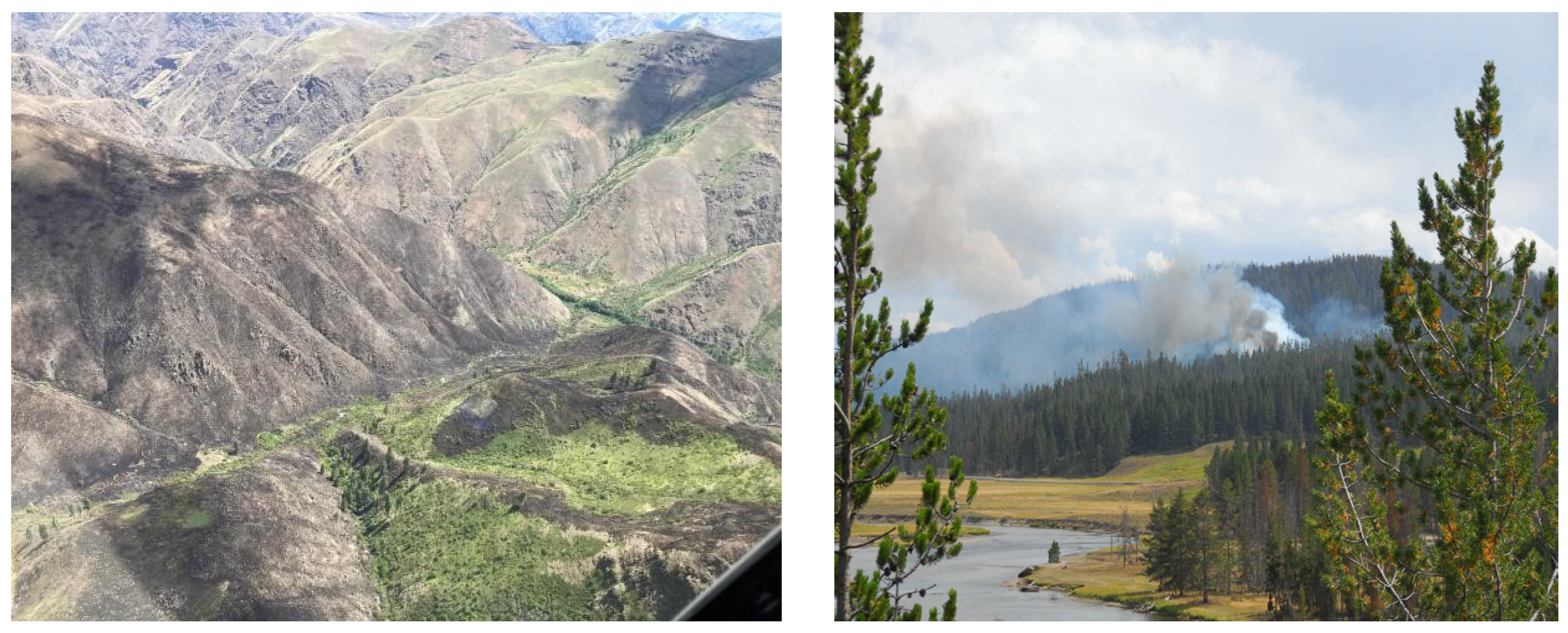 Mathematics 12 00534 g002