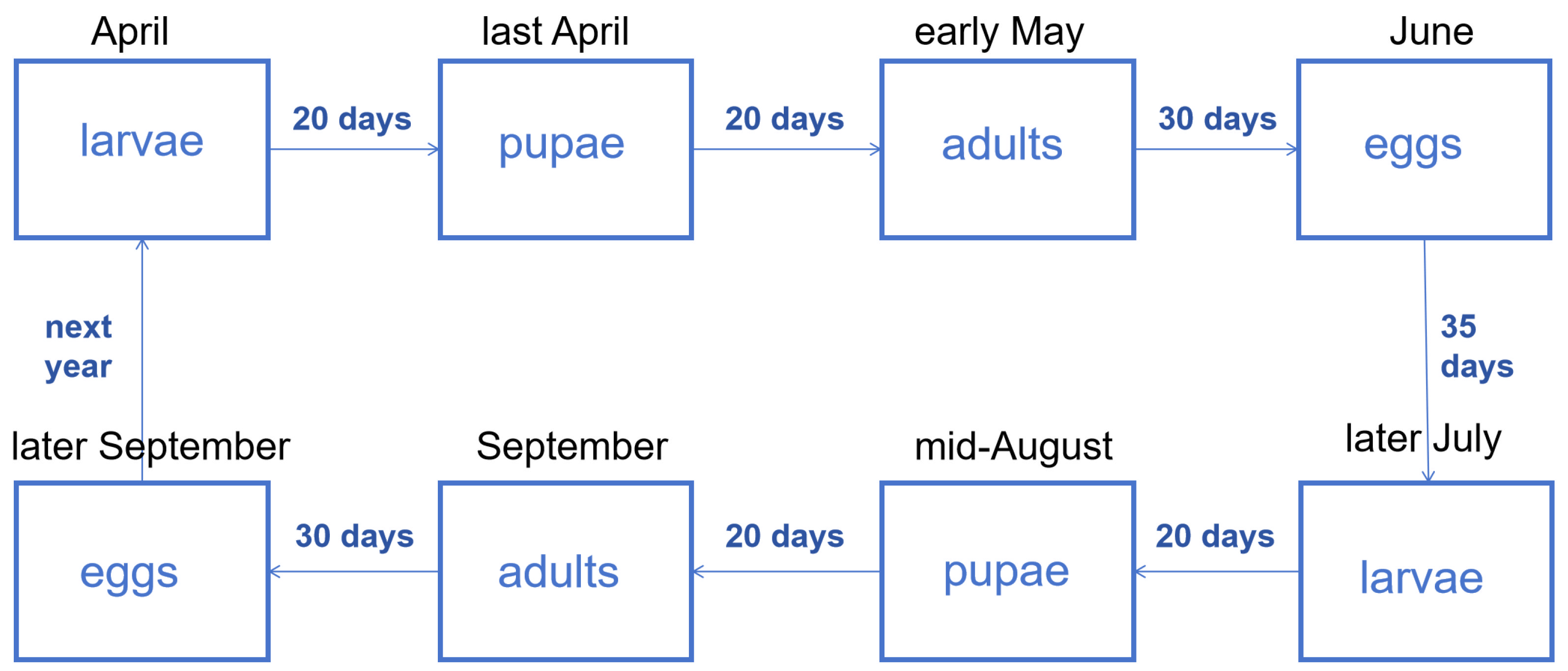 Mathematics 12 00827 g005