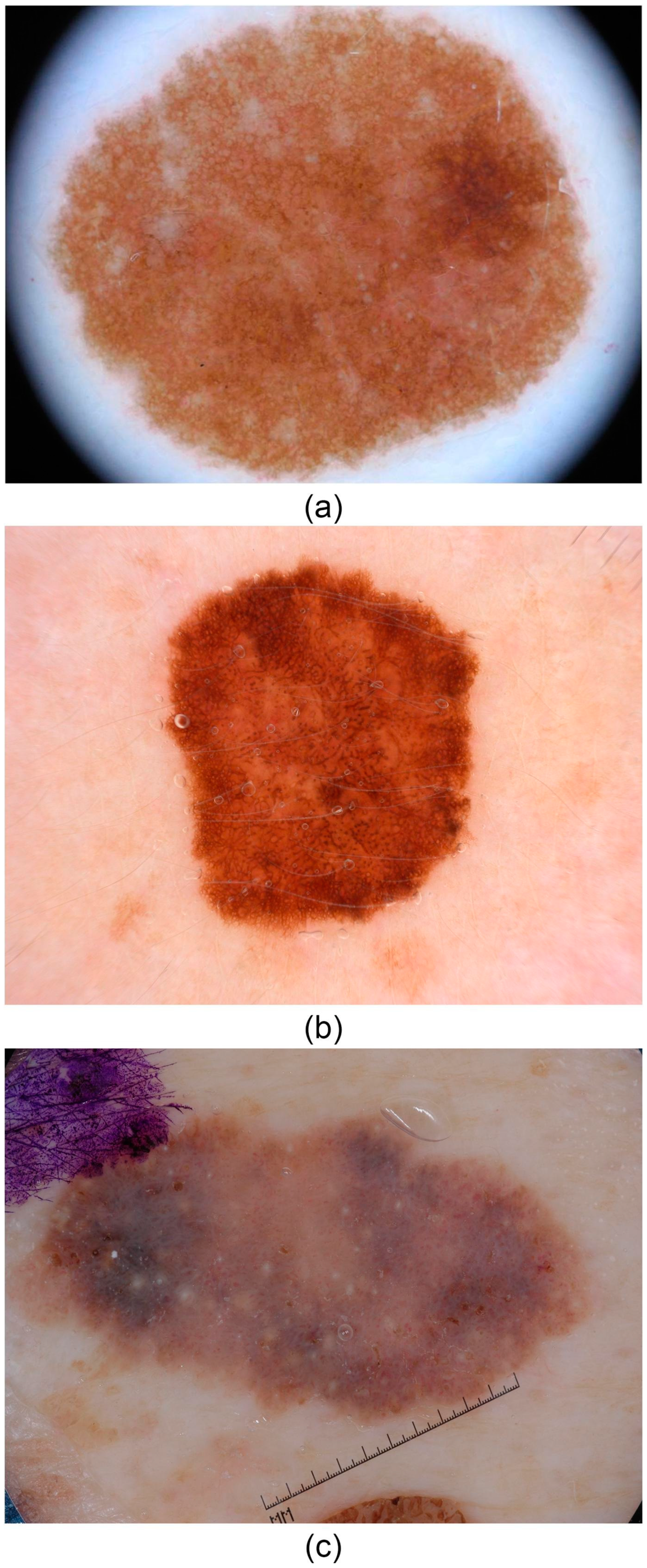 Mathematics 12 01049 g001