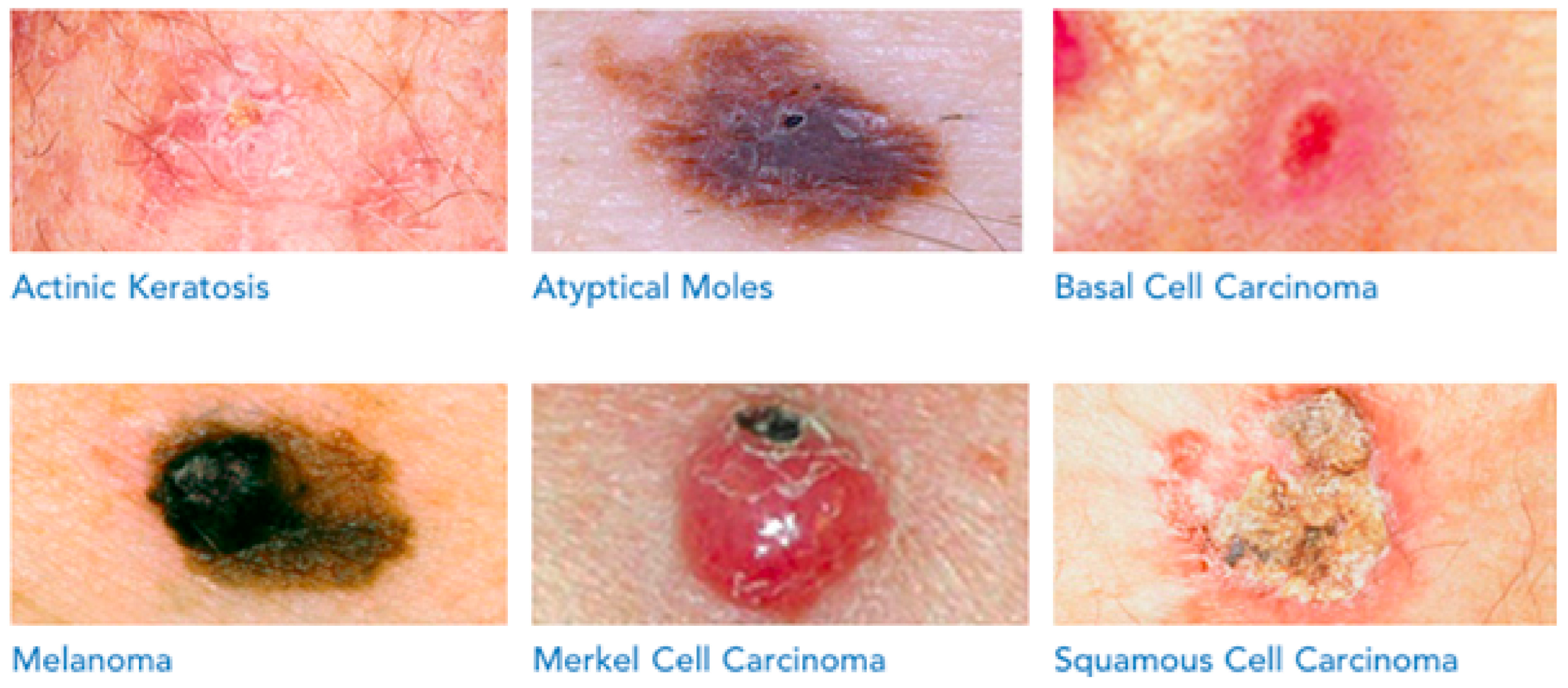 Mathematics 12 01049 g003