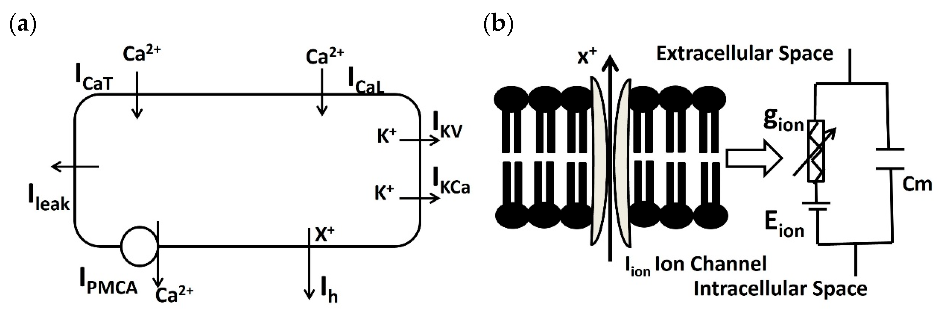 Mathematics 12 01149 g002