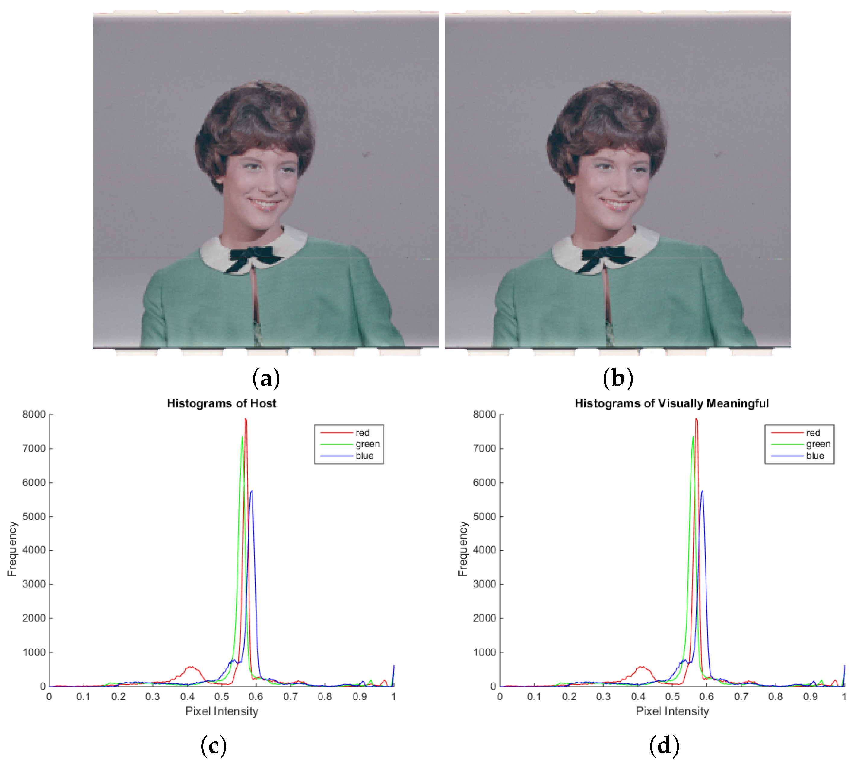 Mathematics 12 01176 g011