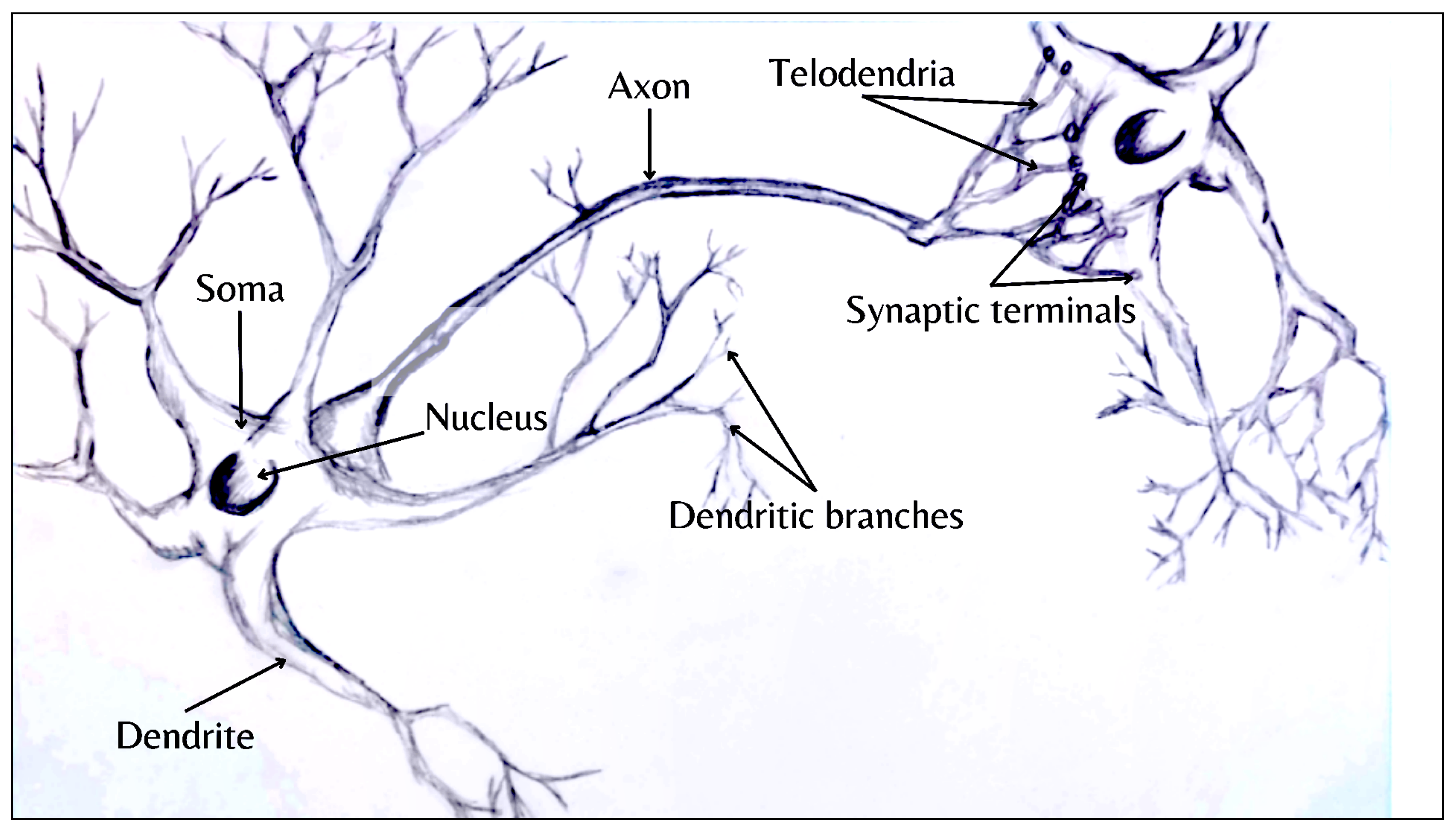 Mathematics 12 01230 g001