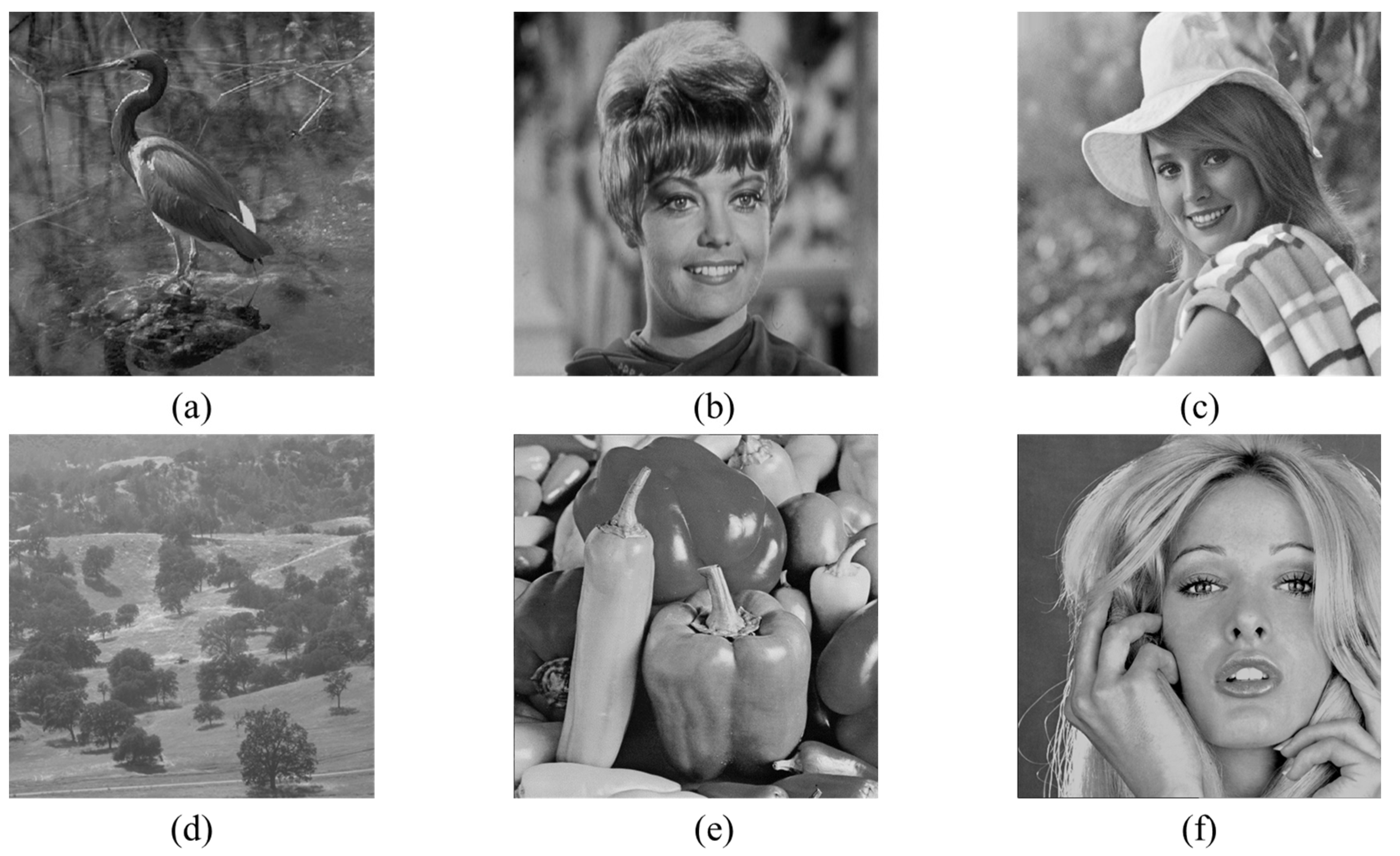 Mathematics 12 01332 g010