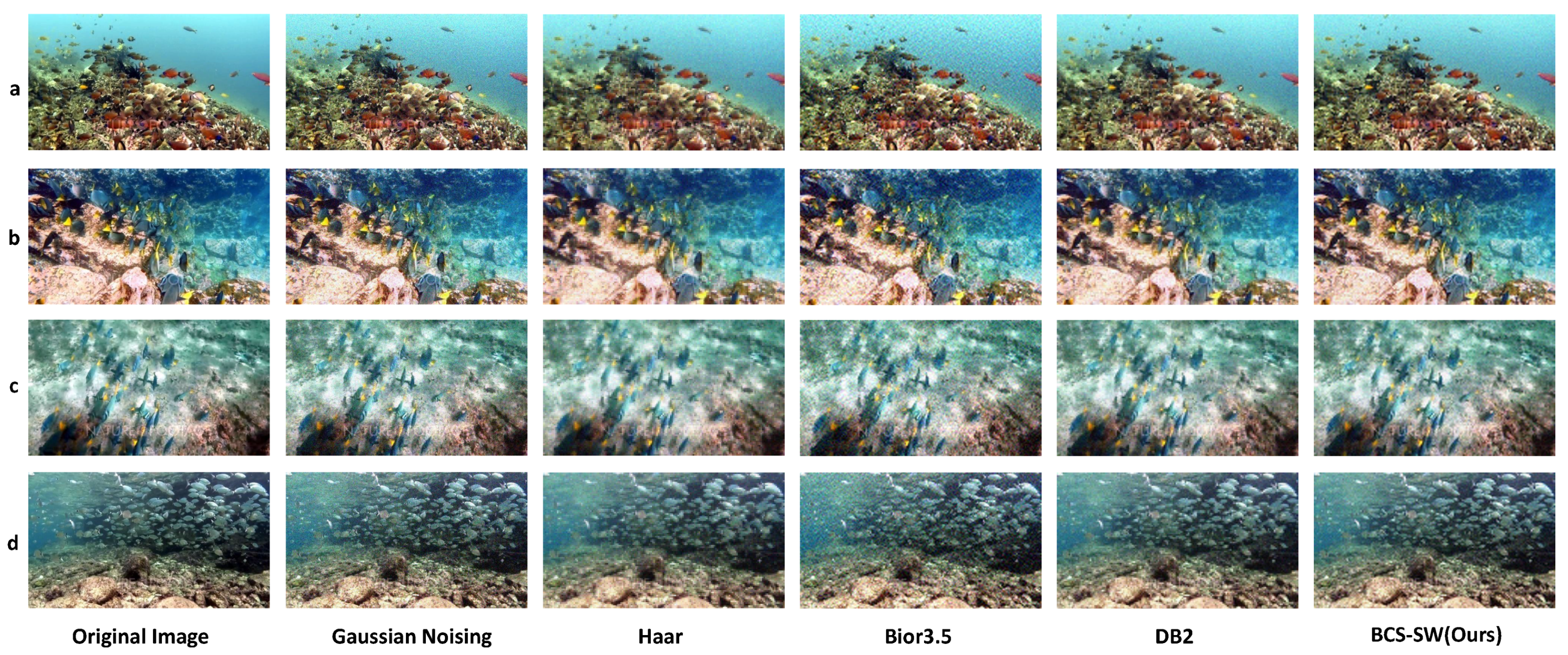 Mathematics 12 01366 g005