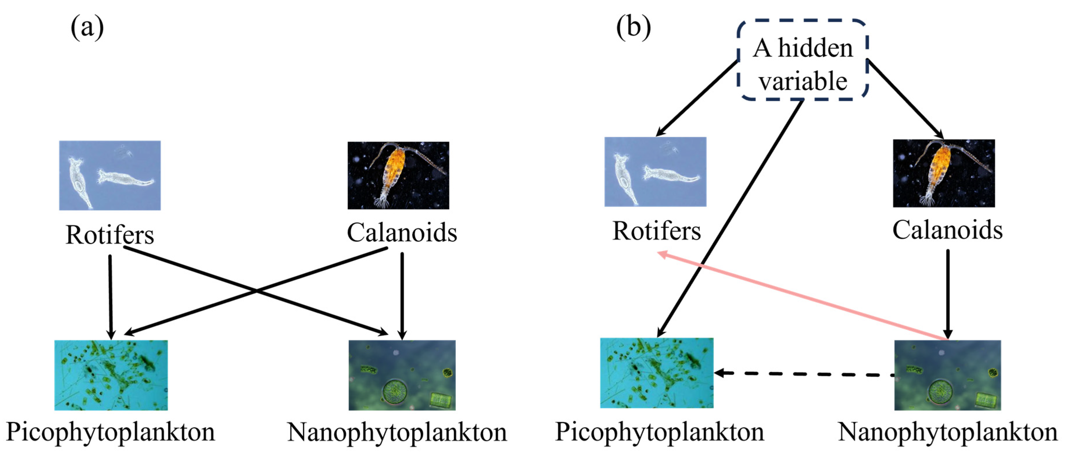 Mathematics 12 01375 g006