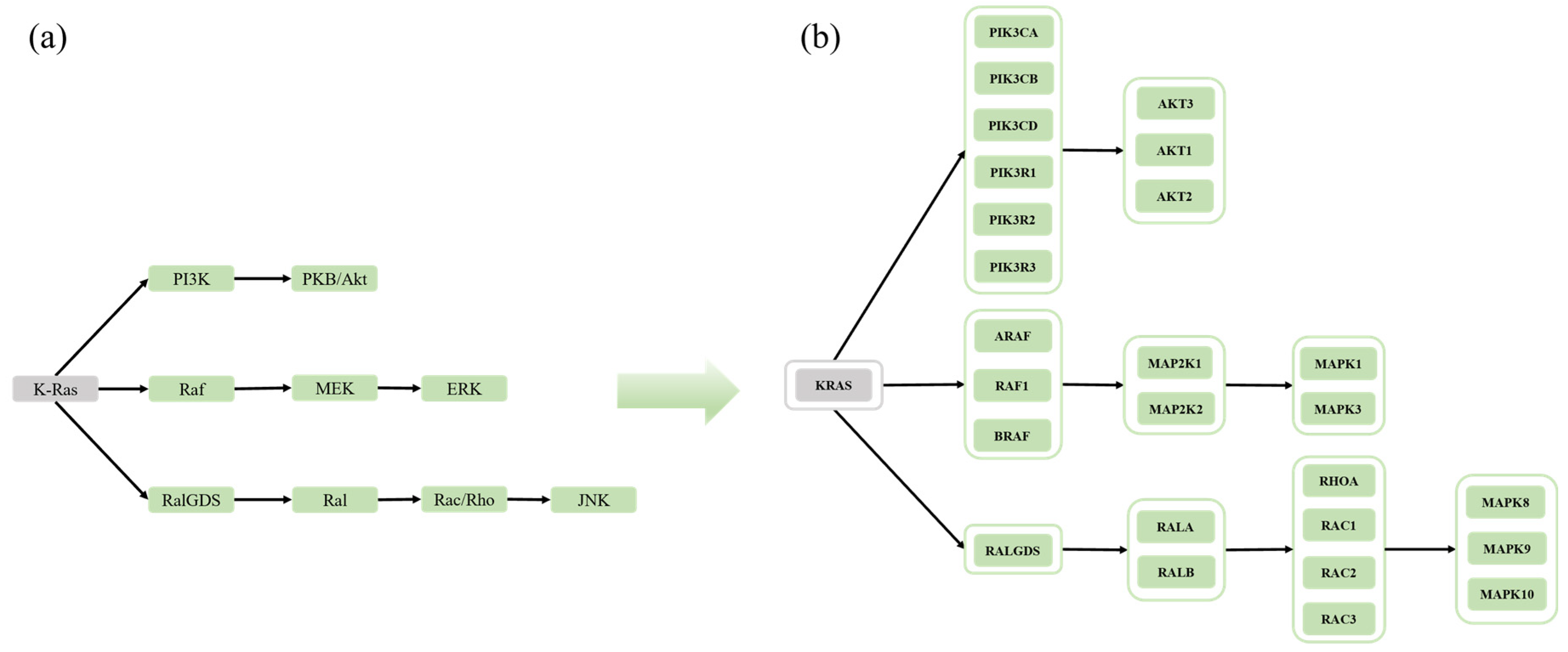 Mathematics 12 01375 g007