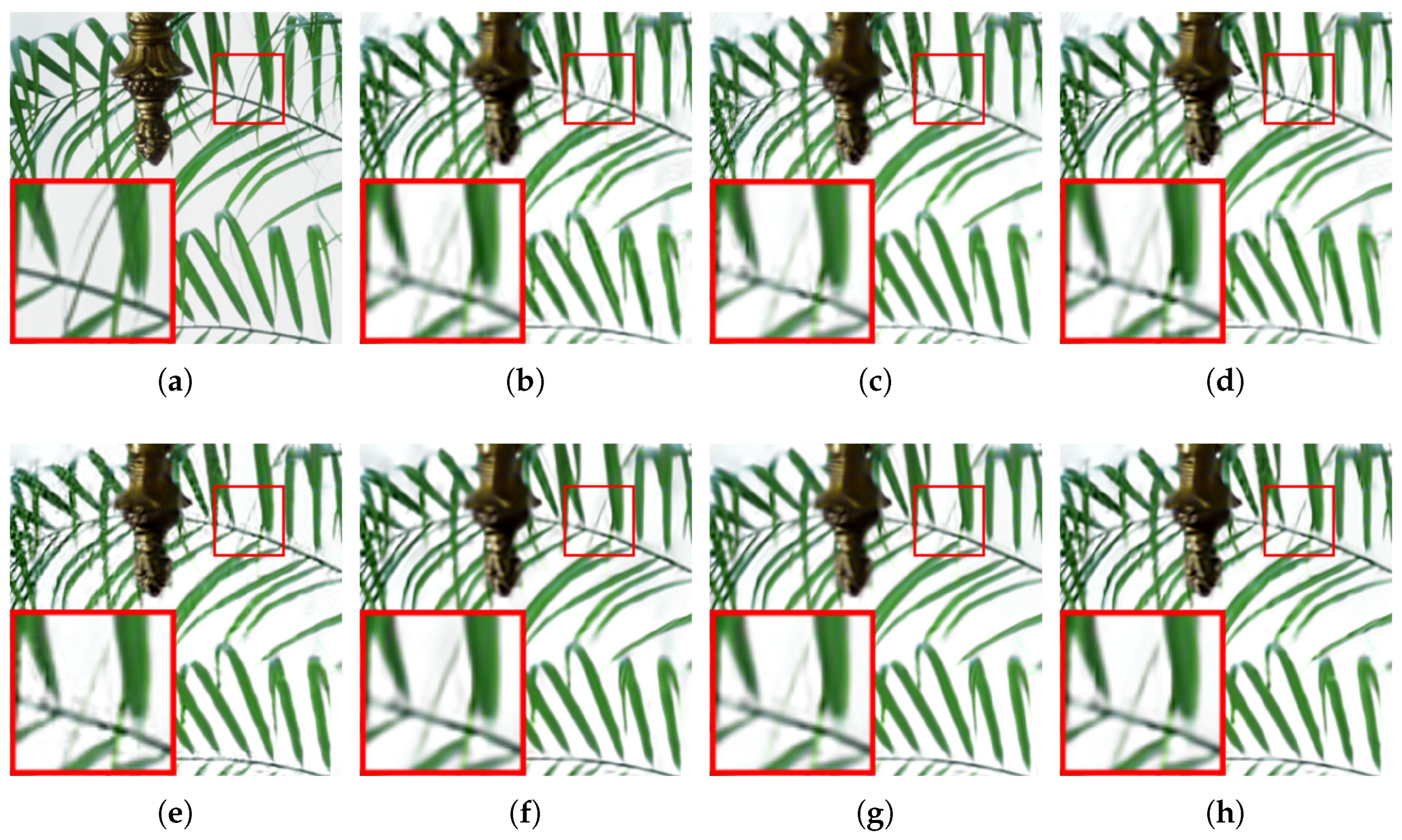 Mathematics 12 01412 g004