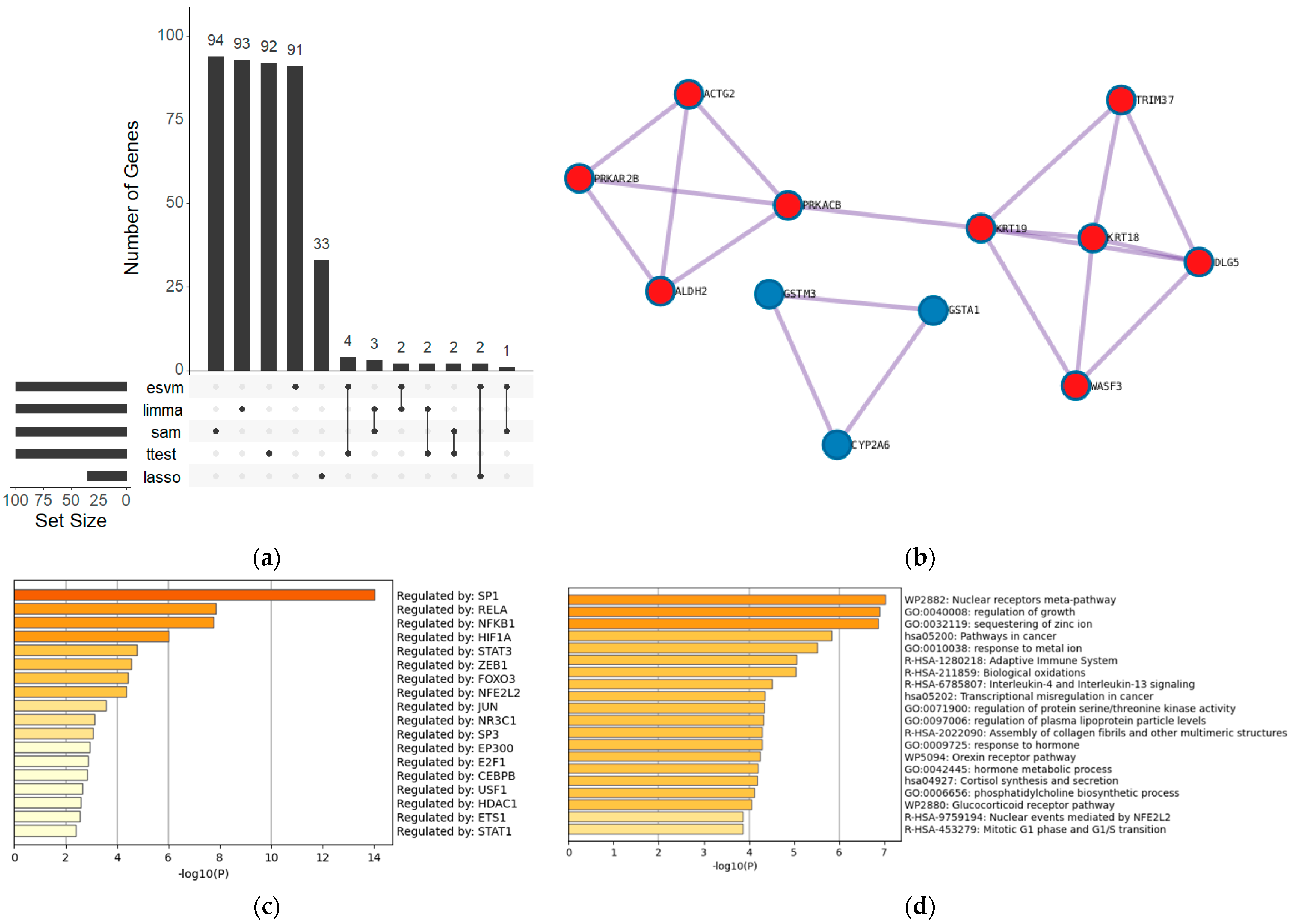 Mathematics 12 01536 g004