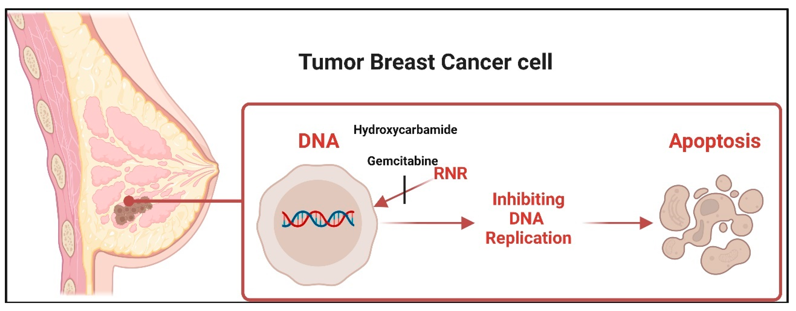 Mathematics 12 01536 g005