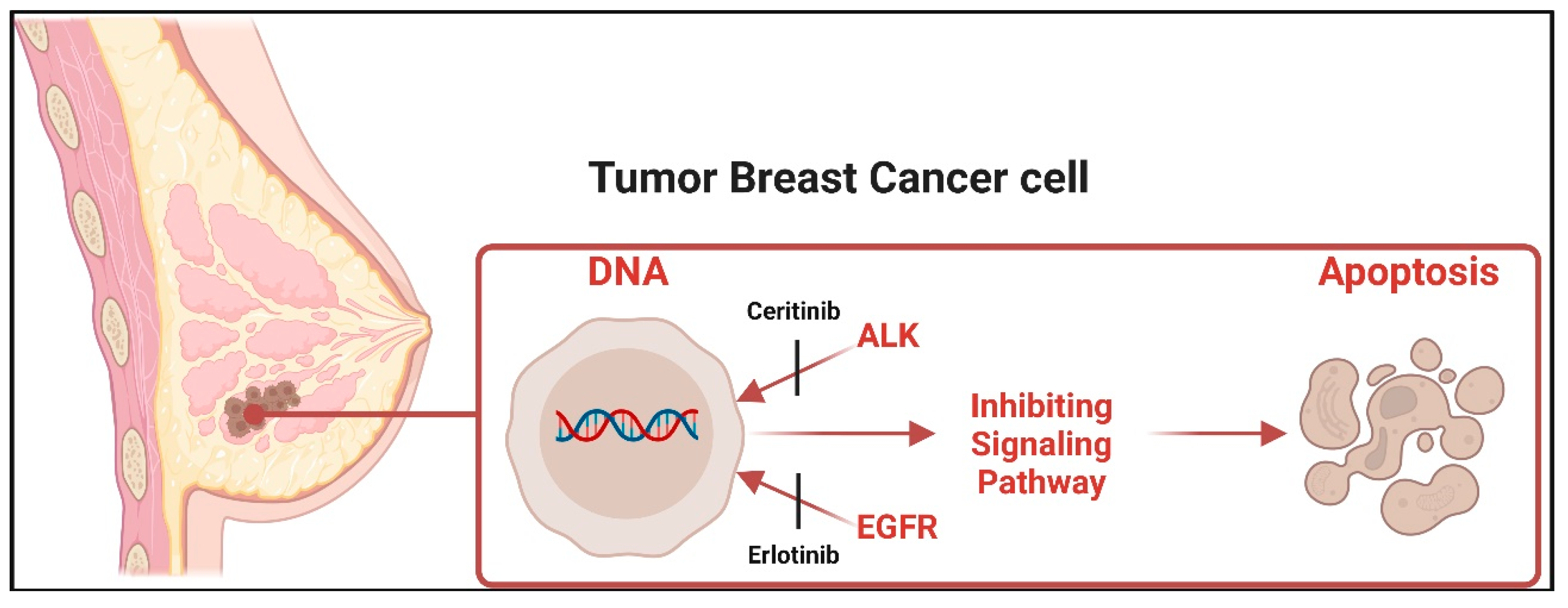 Mathematics 12 01536 g007