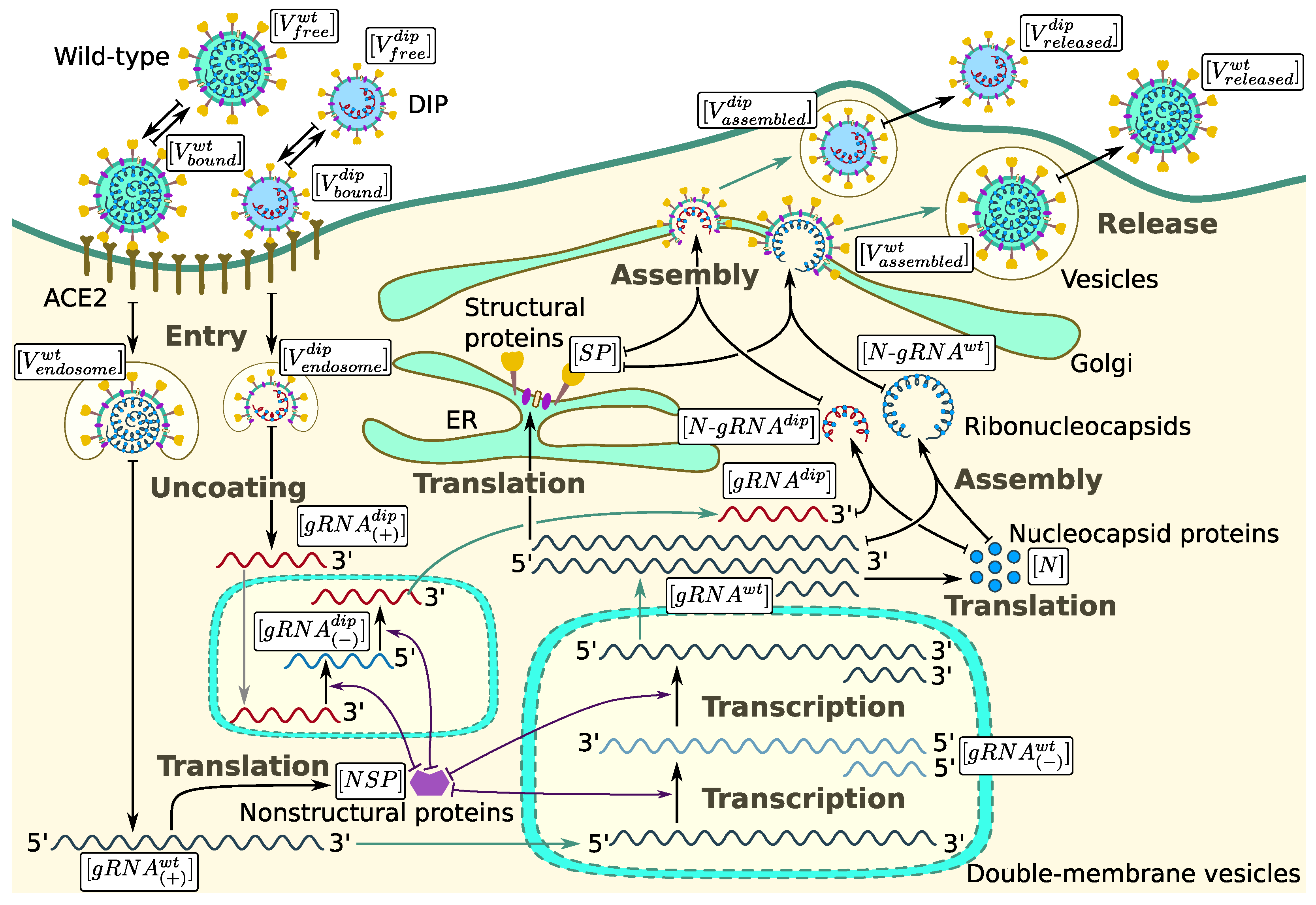 Mathematics 12 01904 g001