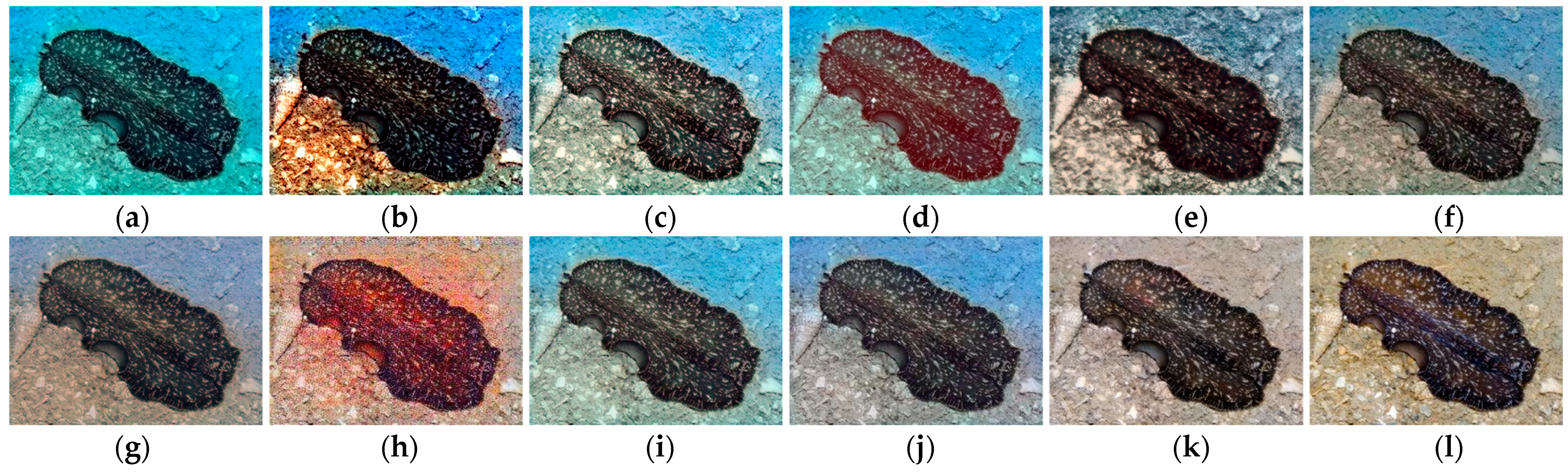 Mathematics 12 01933 g008