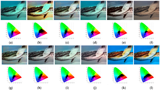 Reconstructing the Colors of Underwater Images Based on the