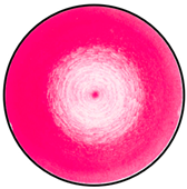 Mathematics 12 01943 i005