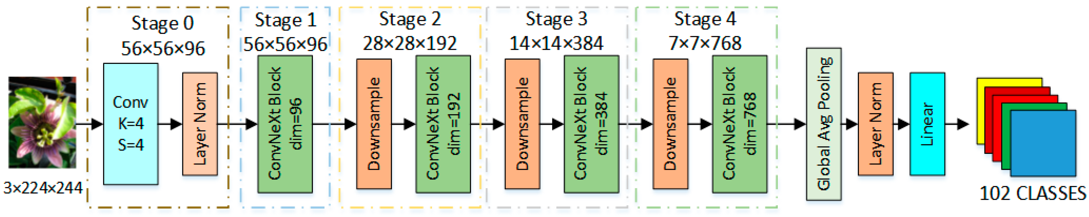 SA-ConvNeXt: A Hybrid Approach for Flower Image Classification Using ...