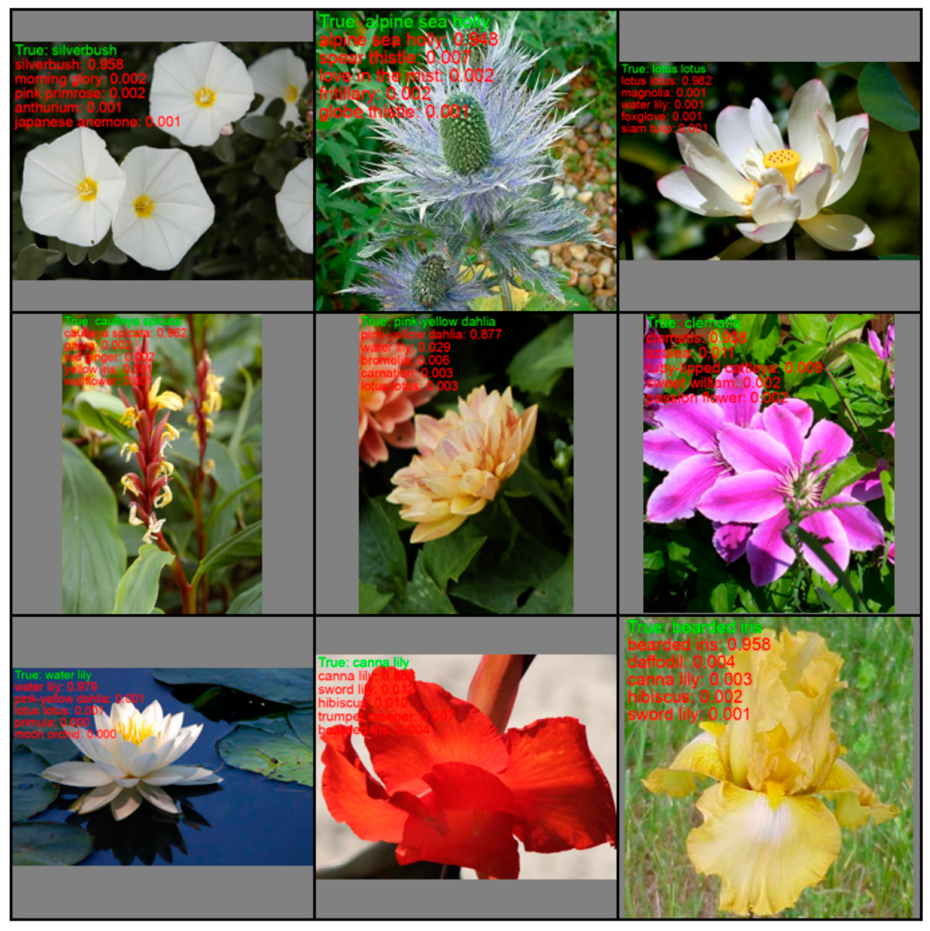 Mathematics 12 02151 g015