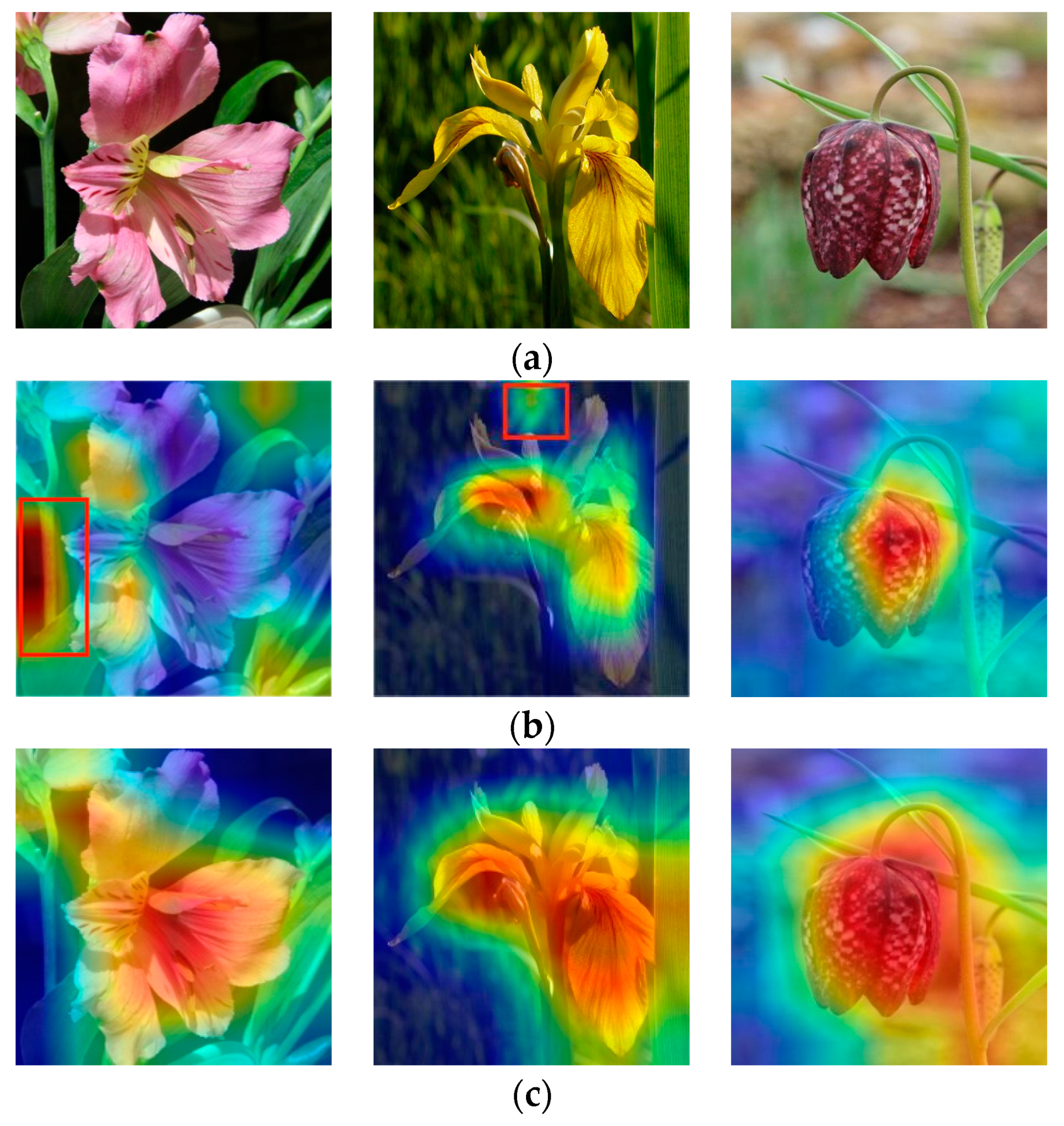 Mathematics 12 02151 g016