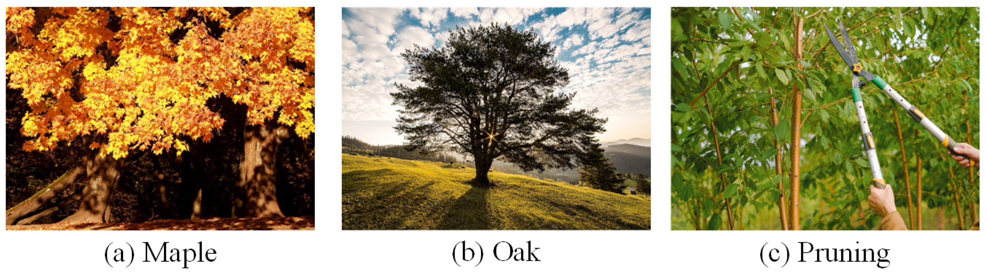 Mathematics 12 02343 g001