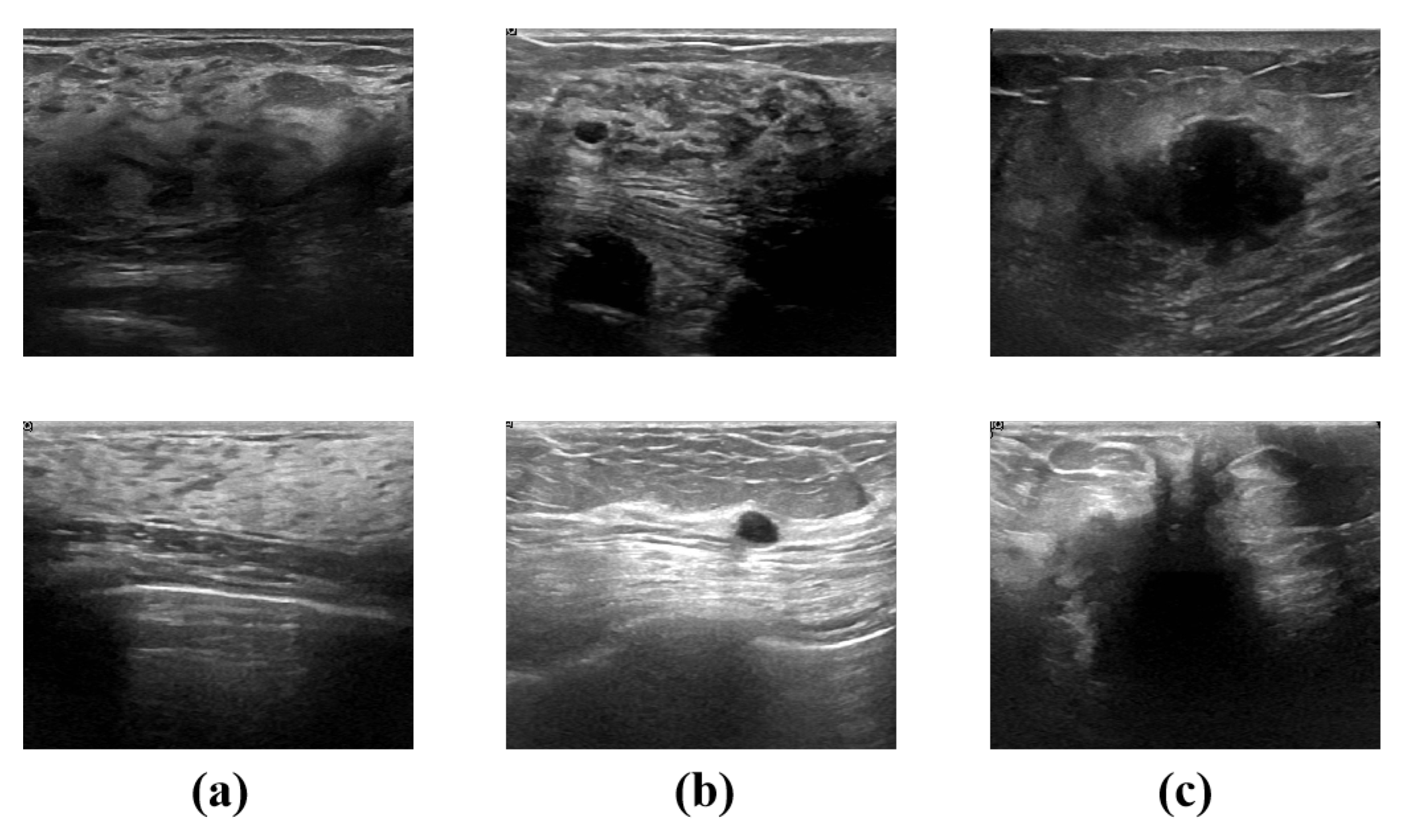 Mathematics 12 02354 g001