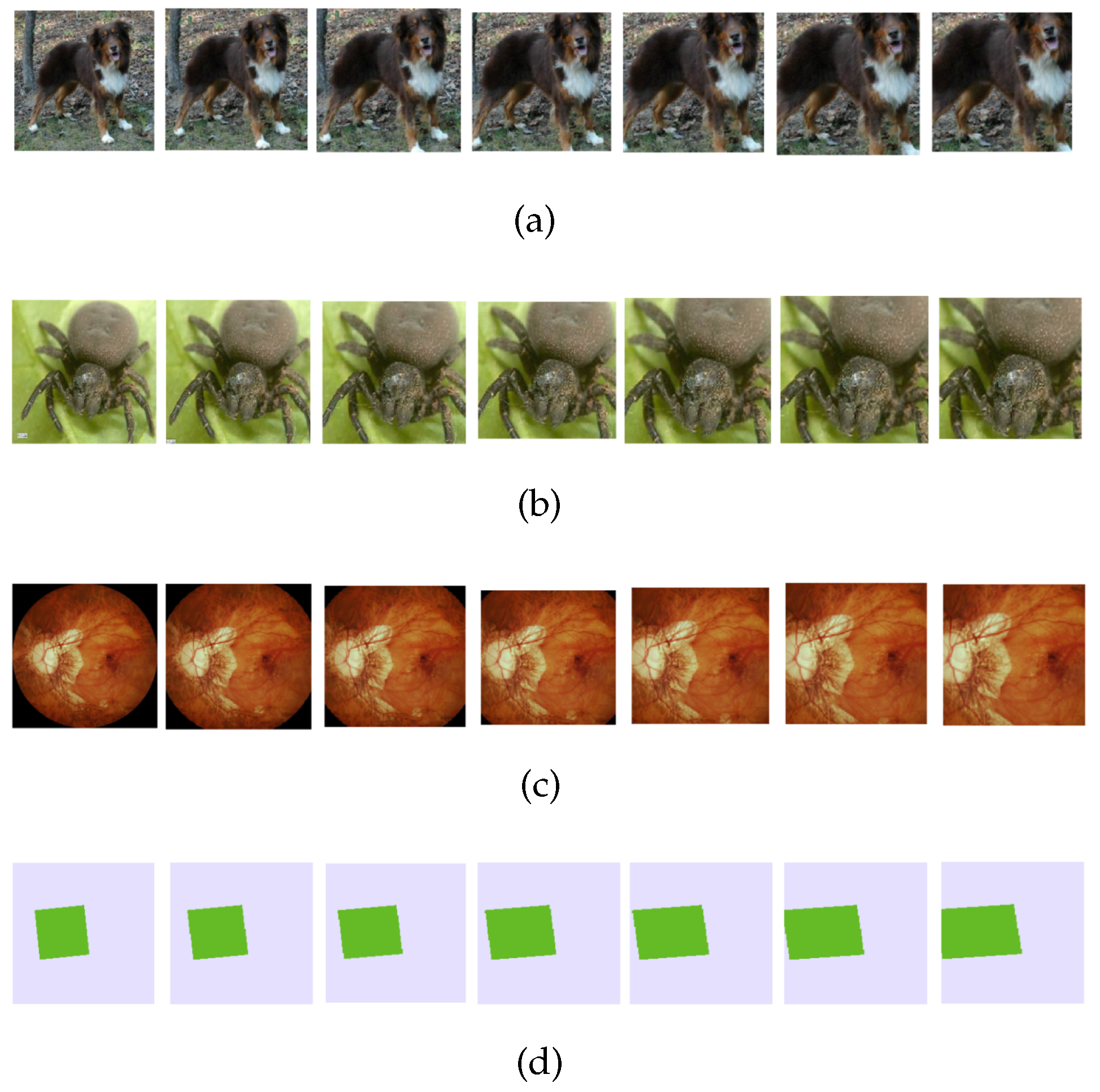 Mathematics 12 02448 g008