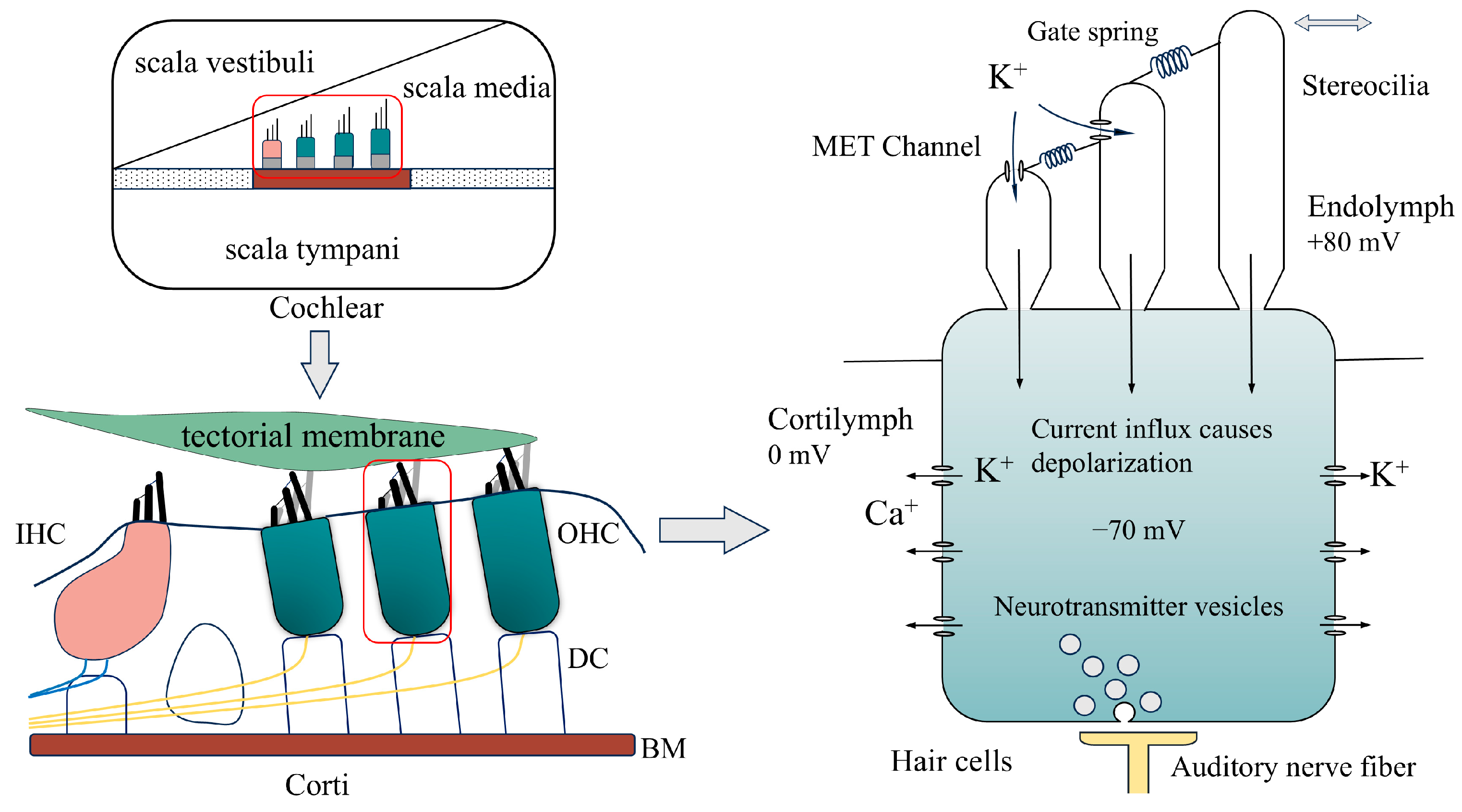 Mathematics 12 02470 g001 Mathematics 12 02470 g001