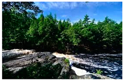 Mathematics 12 02526 i021