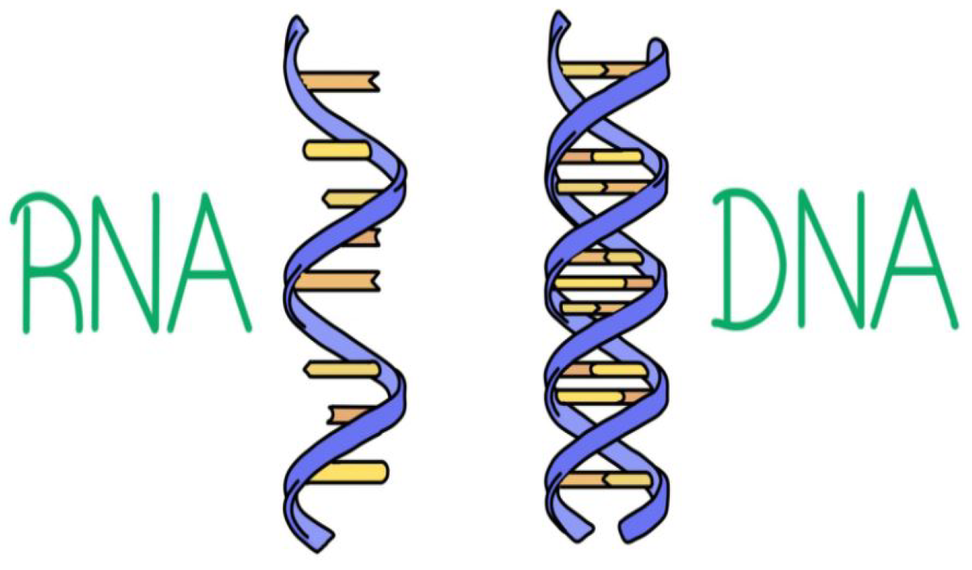 Mathematics 12 02695 g005