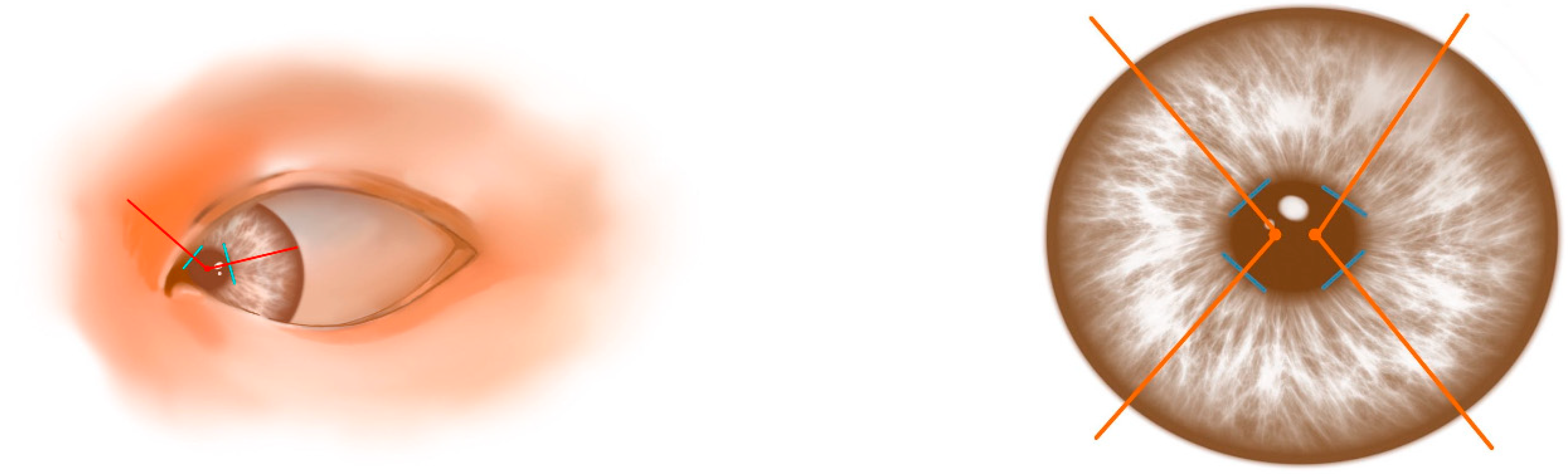 Mathematics 12 02703 g004