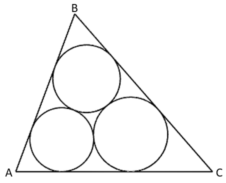The Various Radii Circle Packing Problem in a Triangle