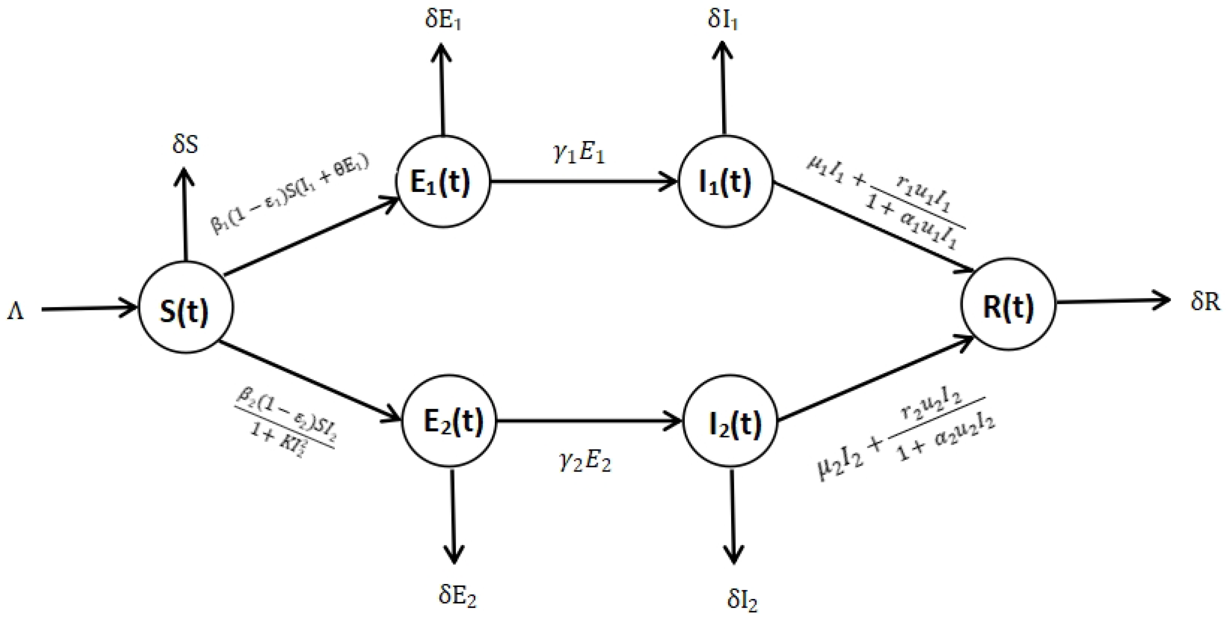 Mathematics 12 03026 g001 Mathematics 12 03026 g001