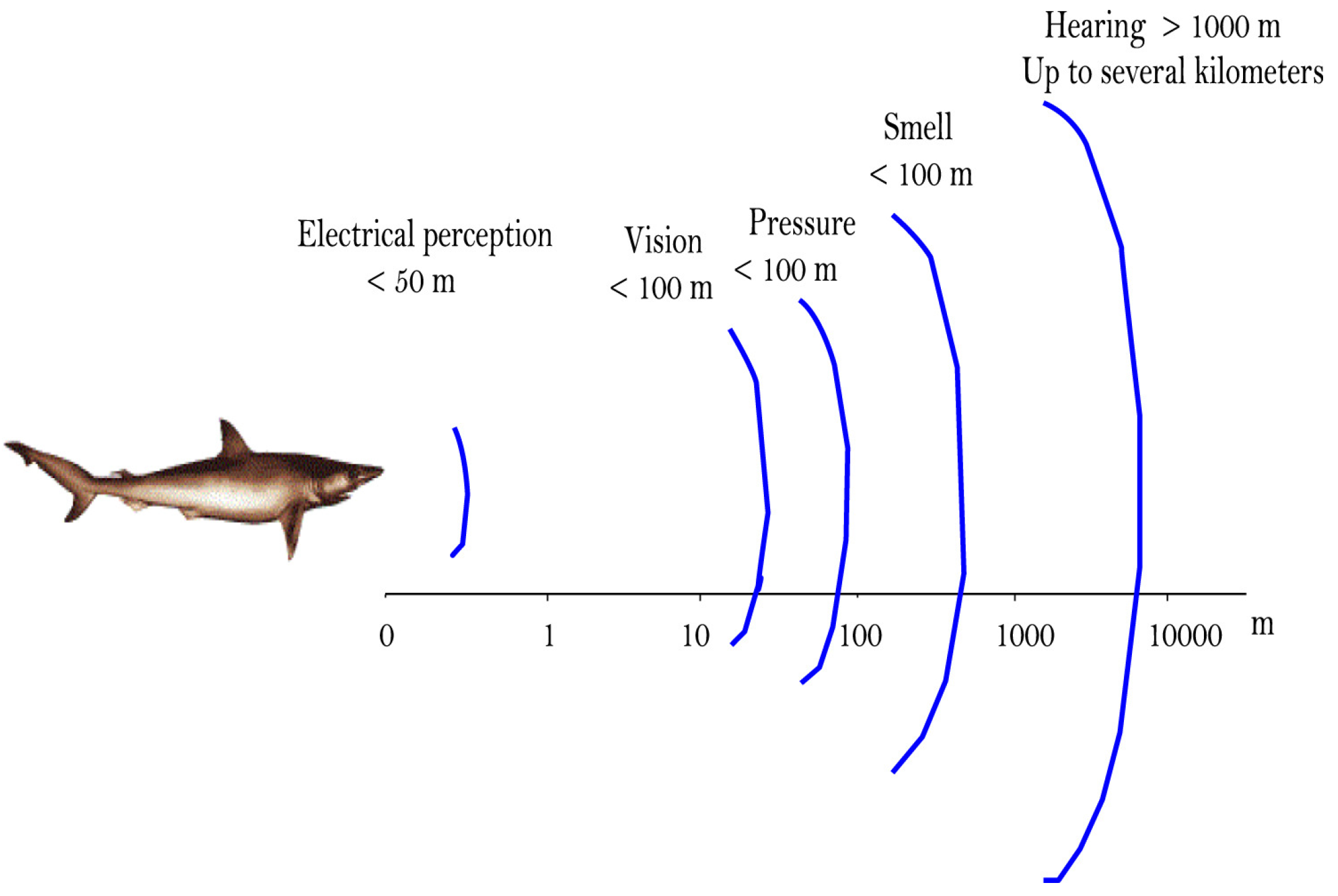 Mathematics 12 03171 g002