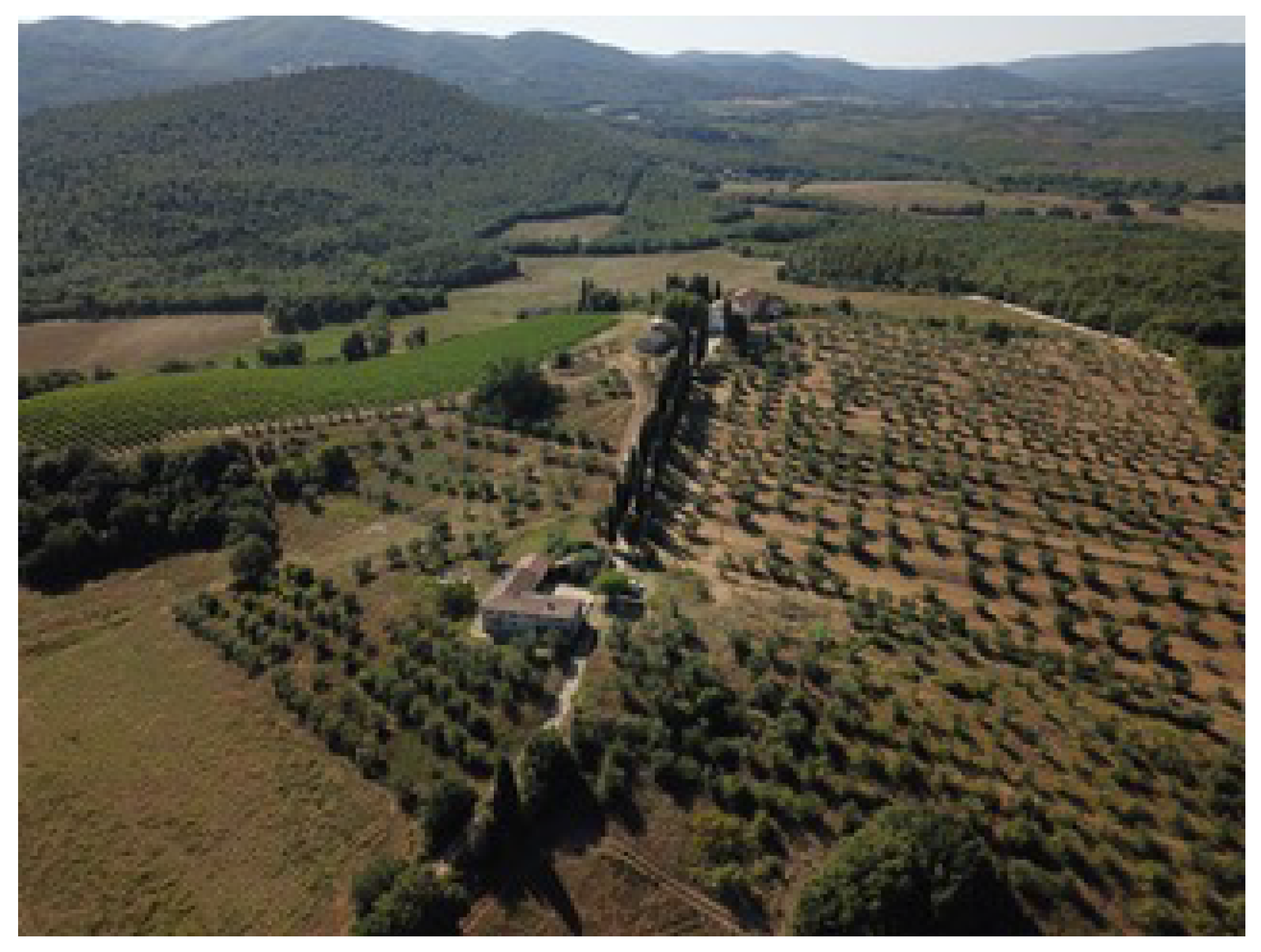 Mathematics 12 03308 g002