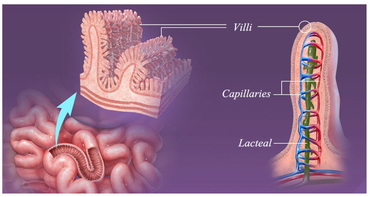Mathematics 12 03317 g001