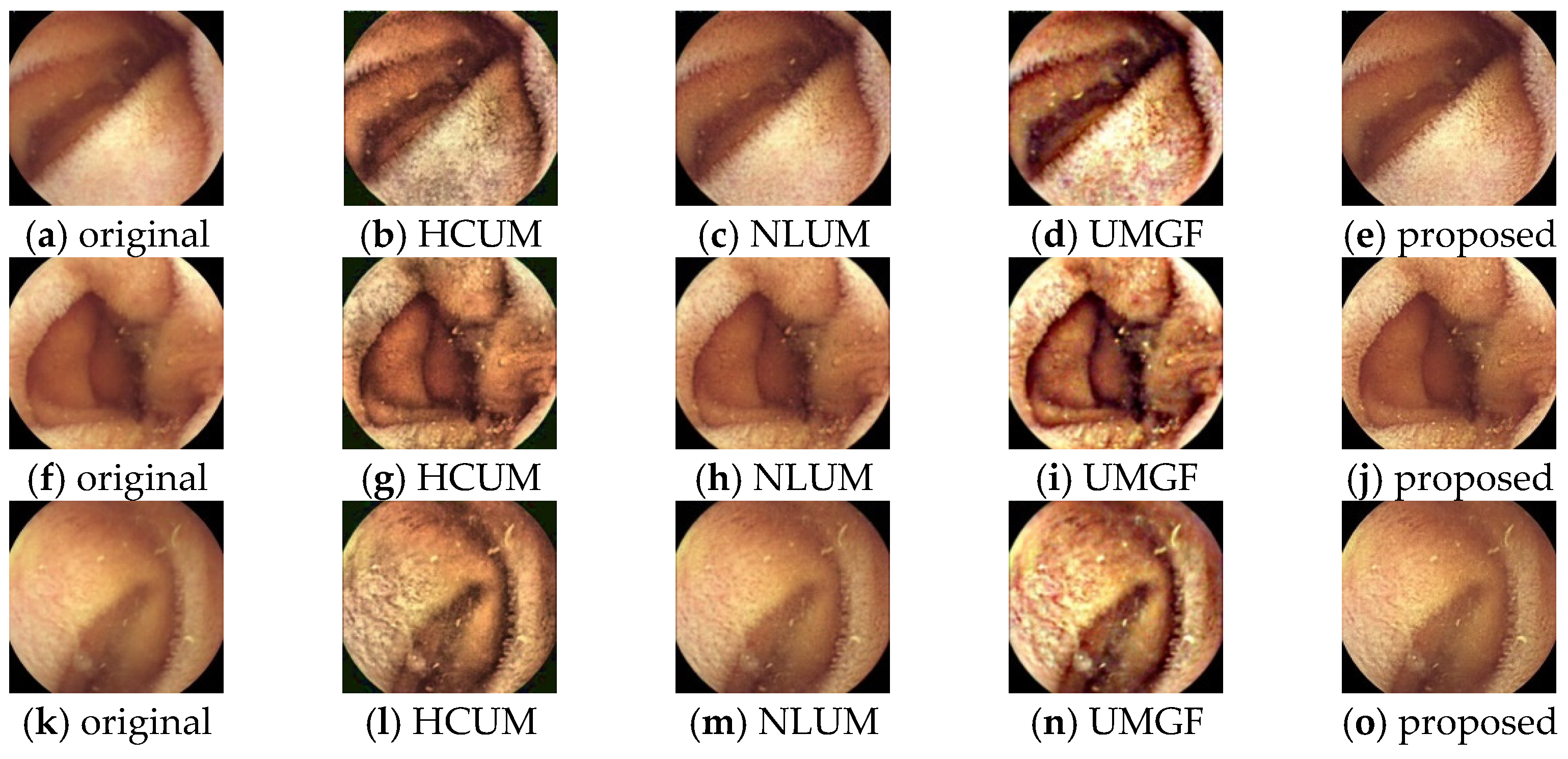 Mathematics 12 03317 g014