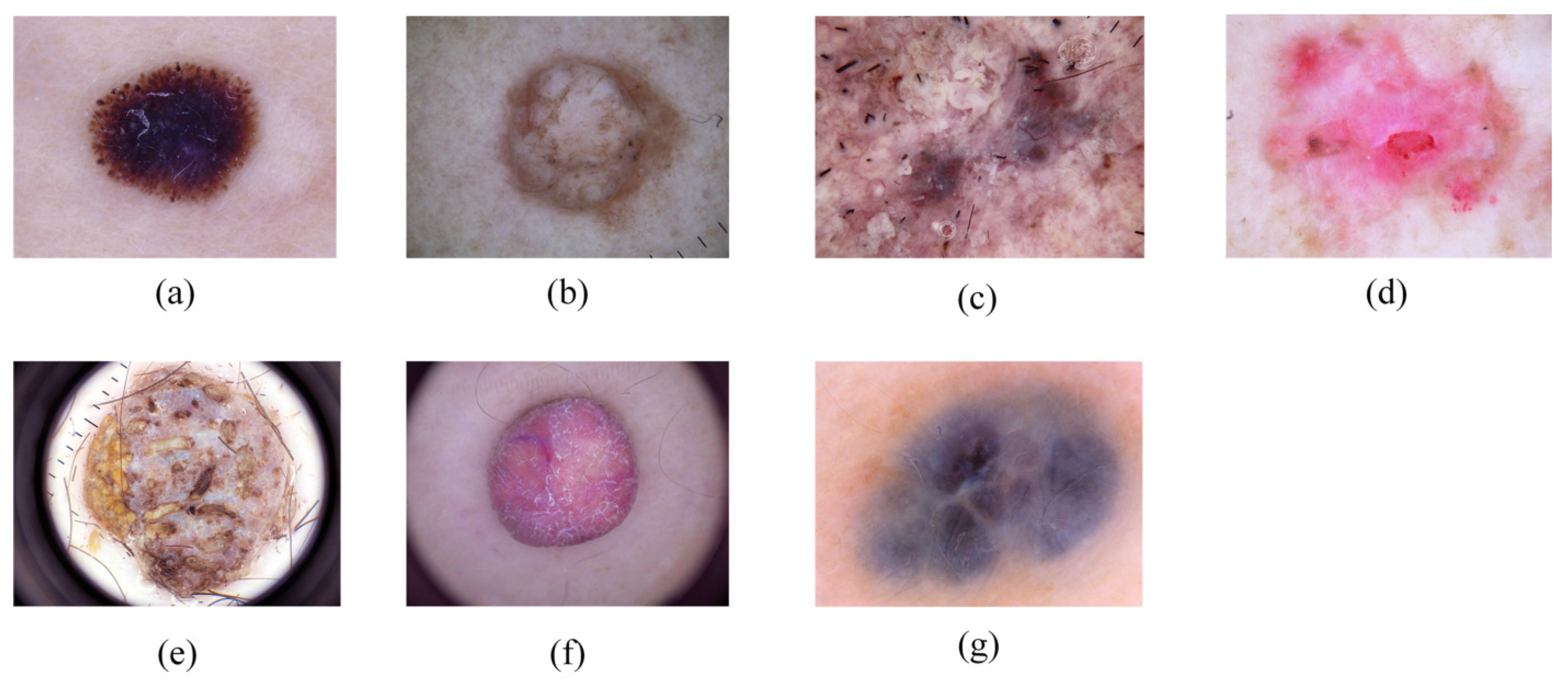 Mathematics 12 03572 g005