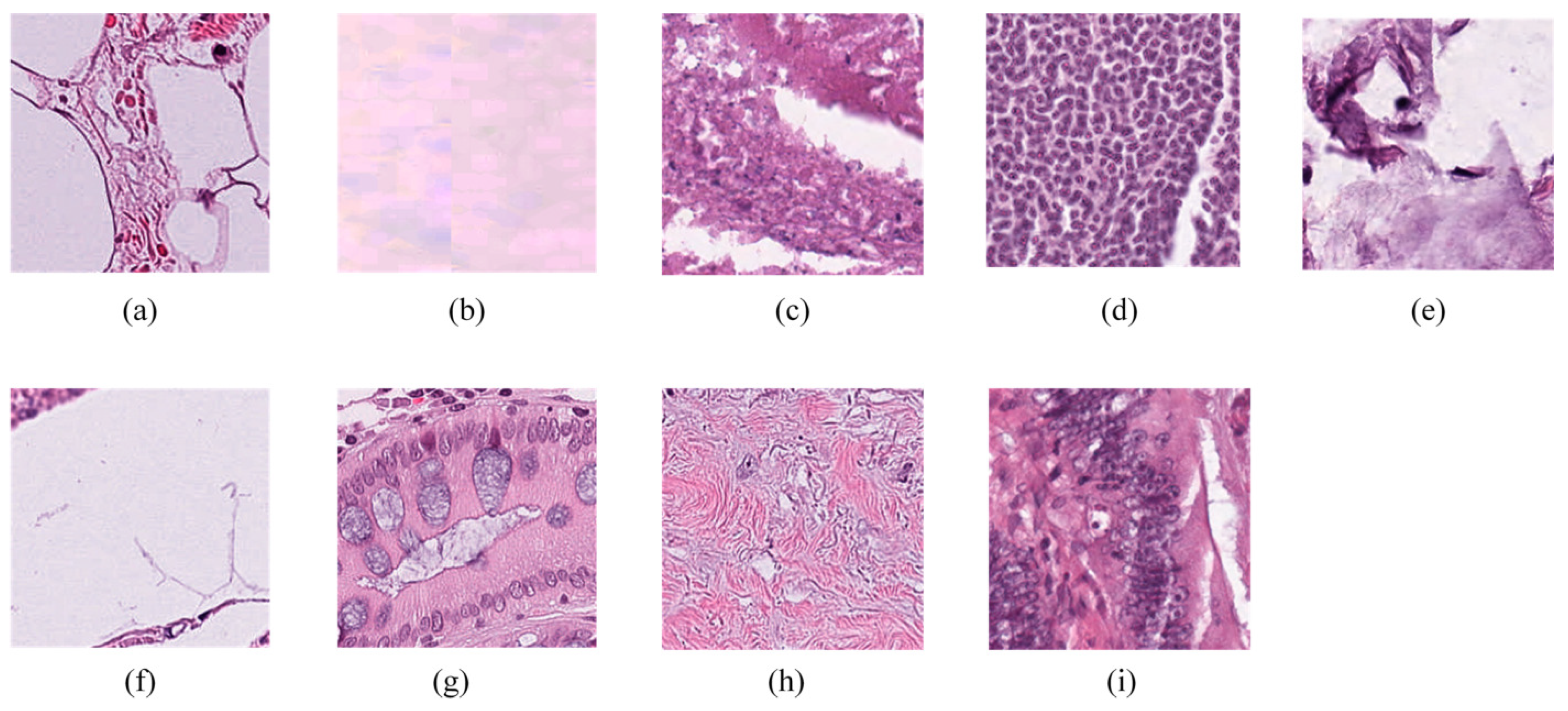 Mathematics 12 03572 g006