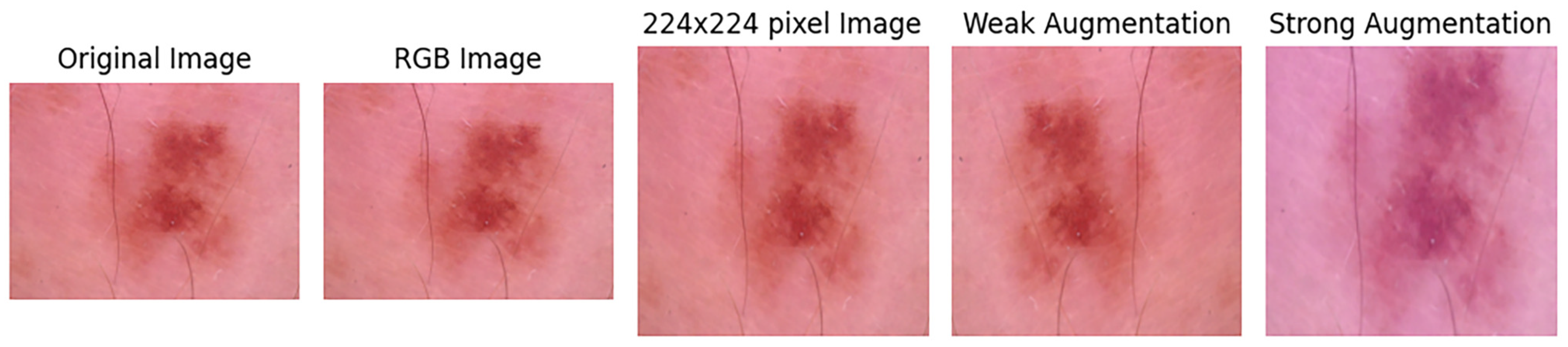 Mathematics 12 03572 g008